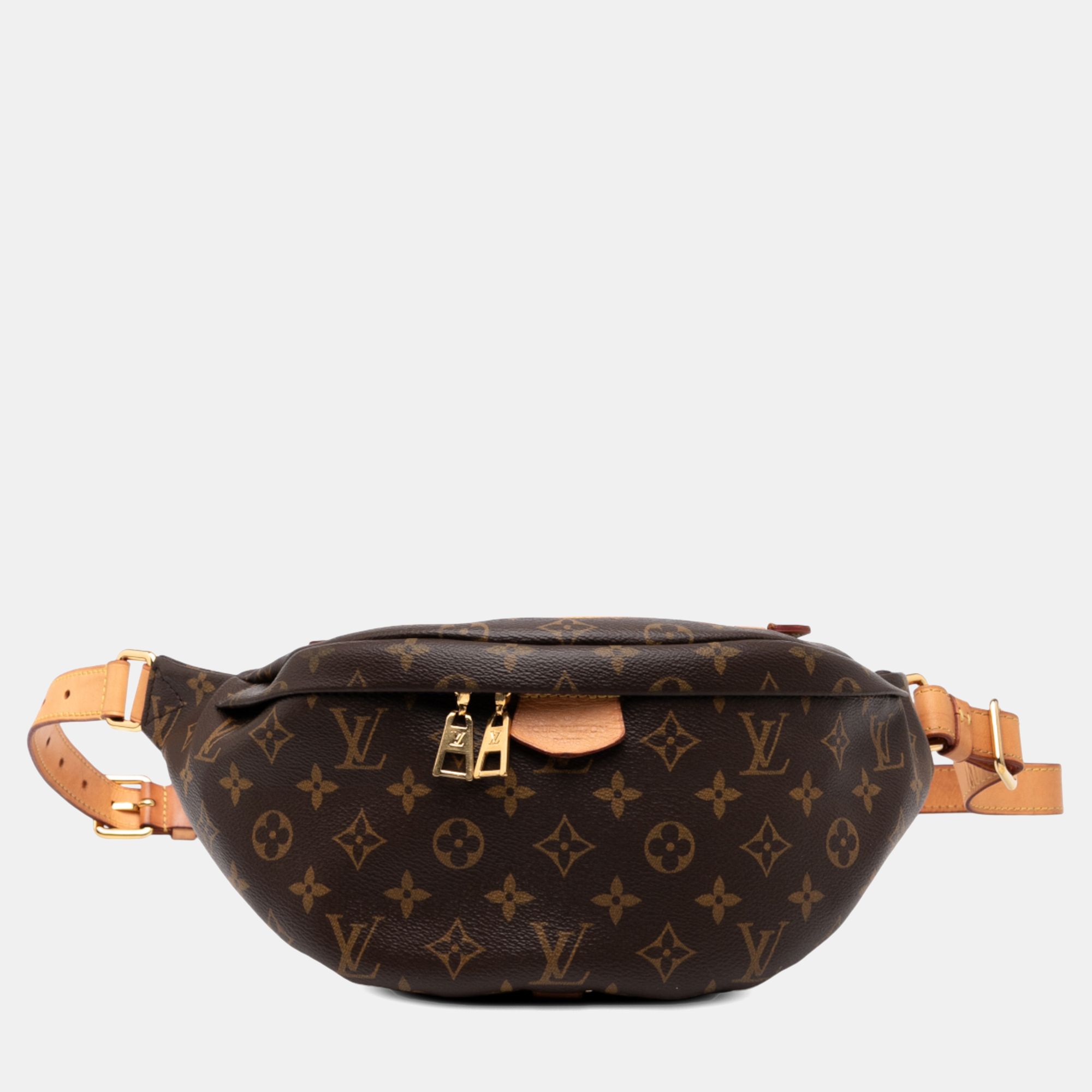 

Louis Vuitton Monogram Canvas Bumbag, Brown
