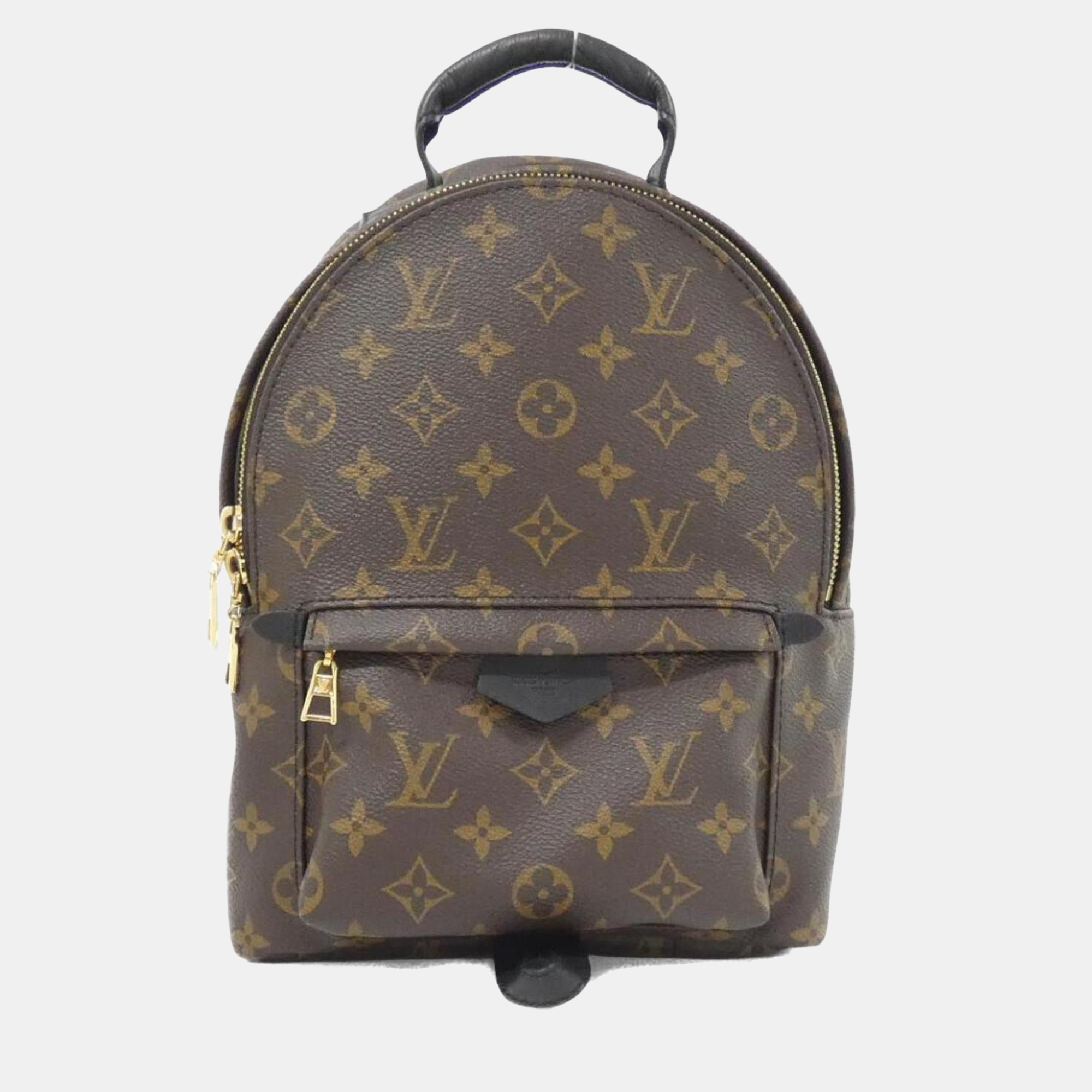 

Louis Vuitton Monogram Palm Springs Backpack Pm, Brown