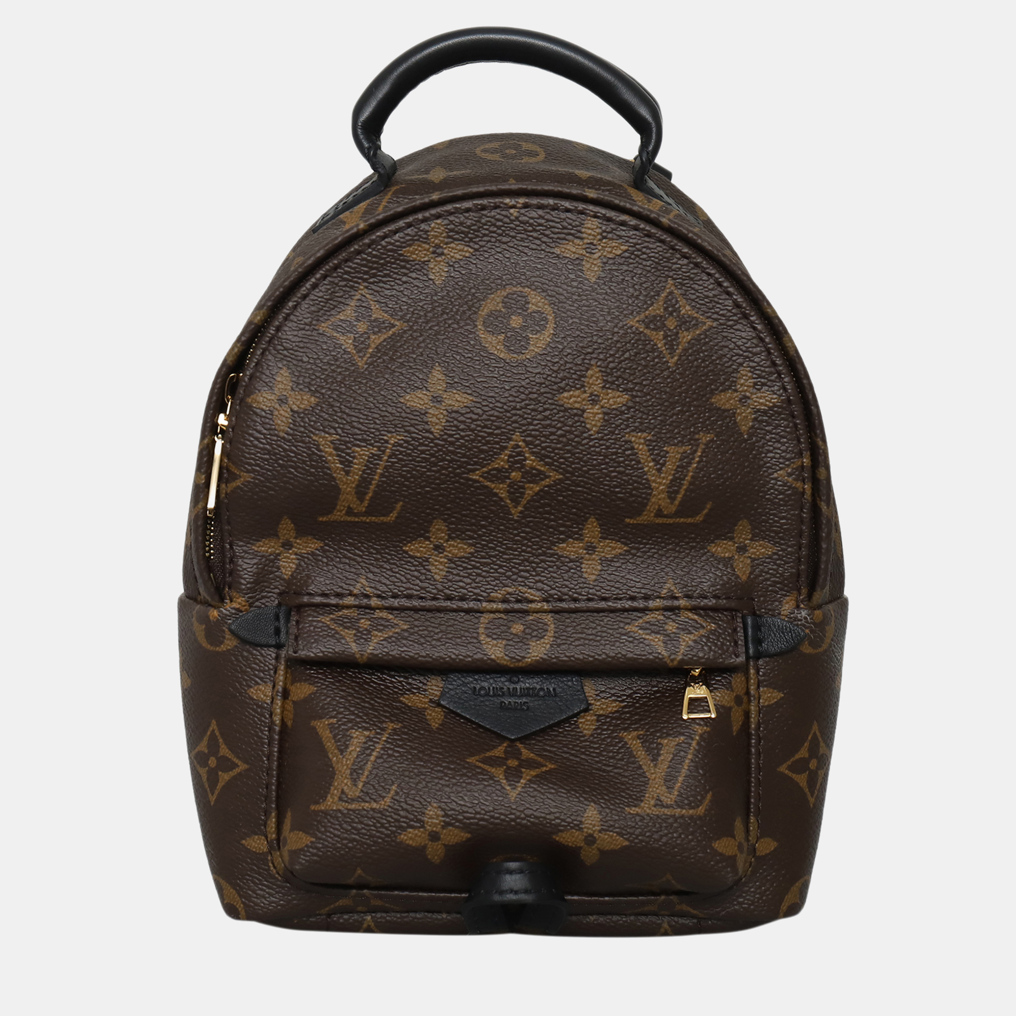 

Louis Vuitton Brown Monogram Mini Palm Springs Backpack