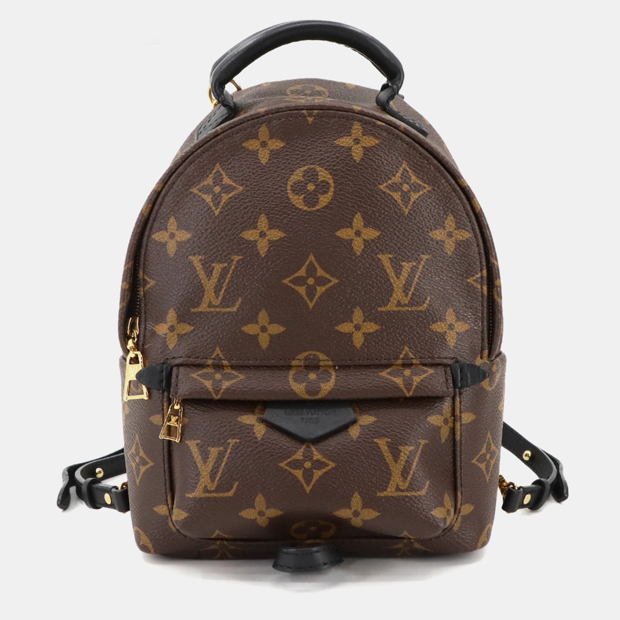 

Louis Vuitton Palm Springs Mini Brown Monogram Canvas Backpack