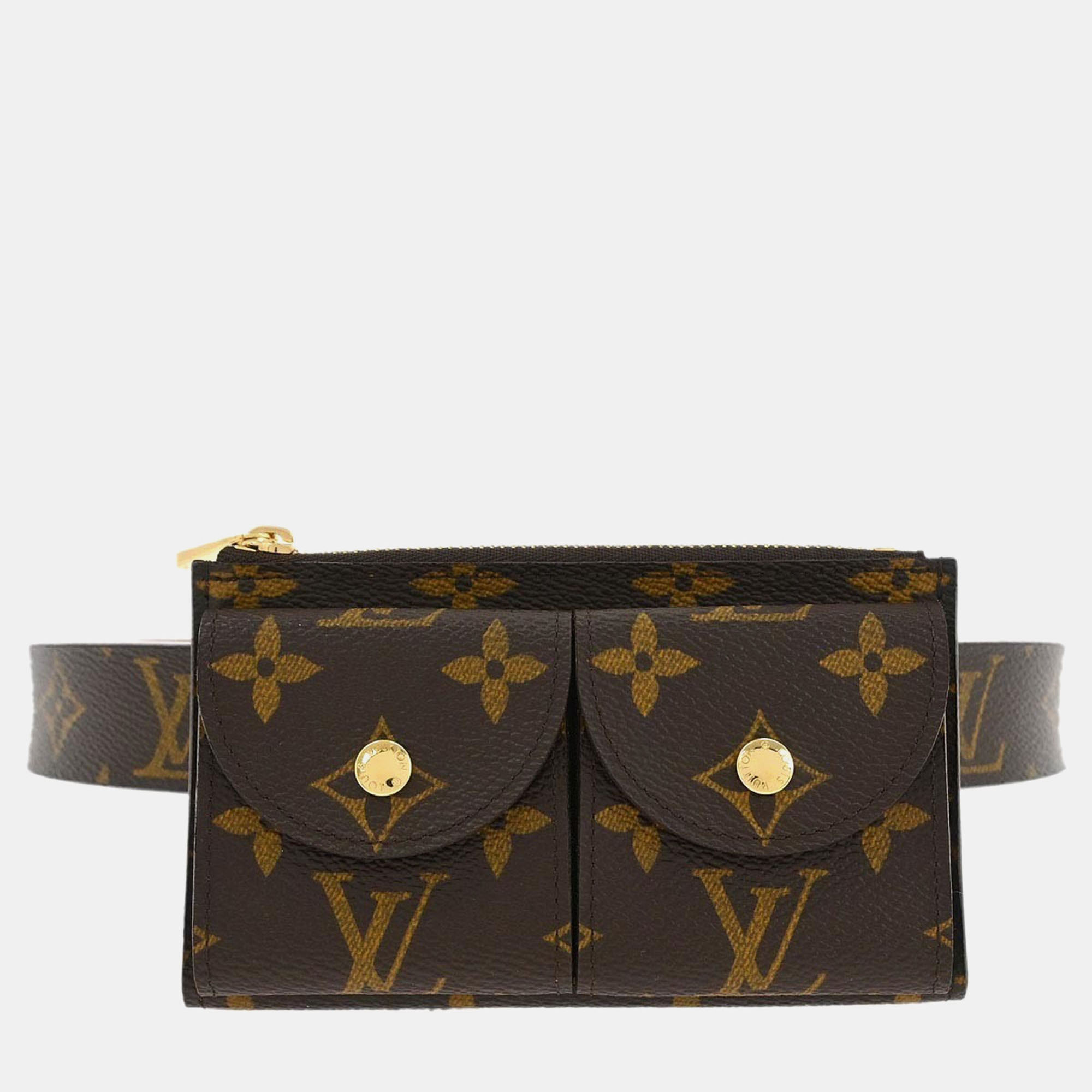 

Louis Vuitton Ceinture Pochette Duo Waist Bum Bag, Brown