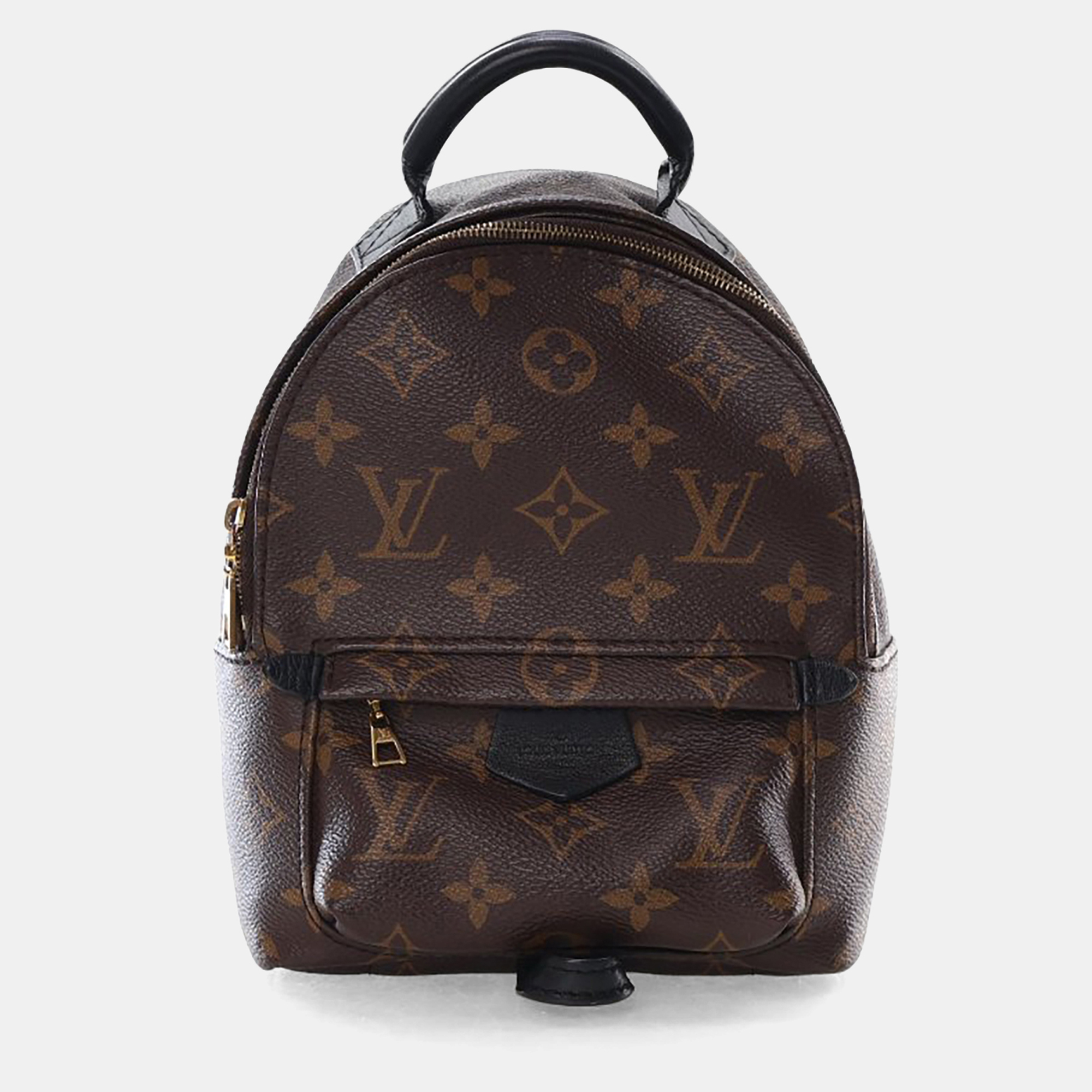 

Louis Vuitton Monogram Palm Springs Mini, Brown