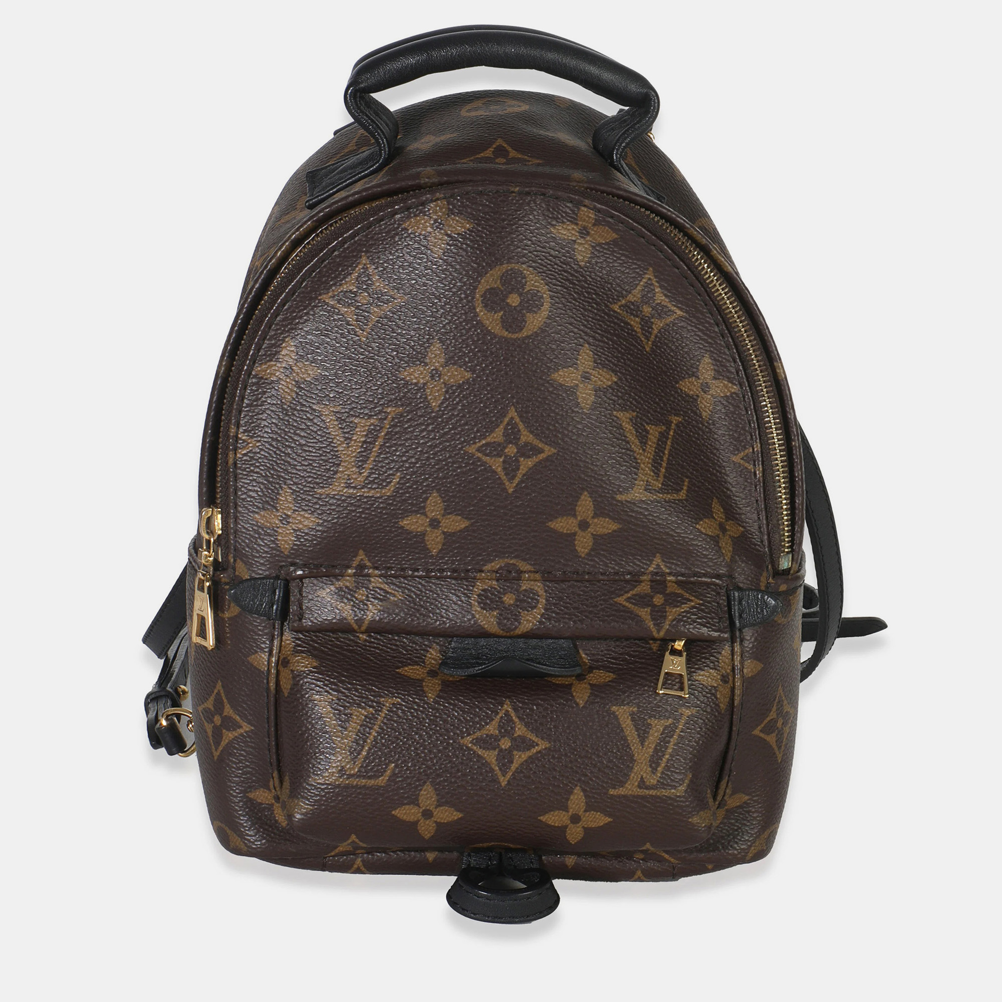 

Louis Vuitton Monogram Canvas Mini Palm Springs, Brown