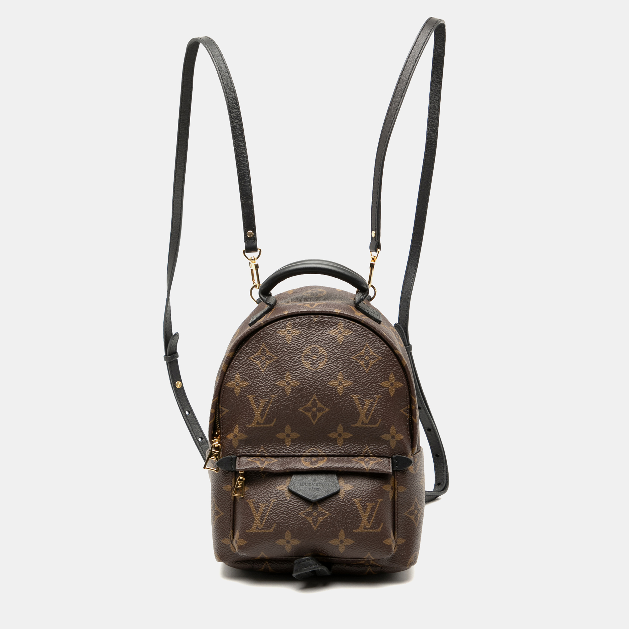 

Louis Vuitton Brown Monogram Mini Palm Springs