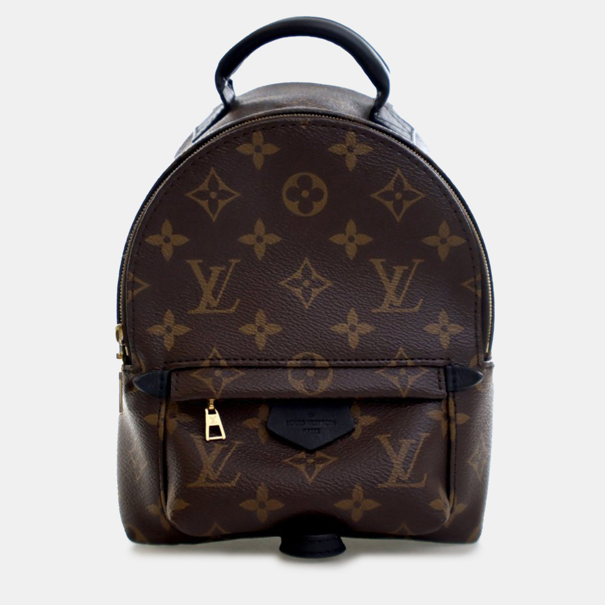 

Louis Vuitton Brown Monogram Mini Palm Springs