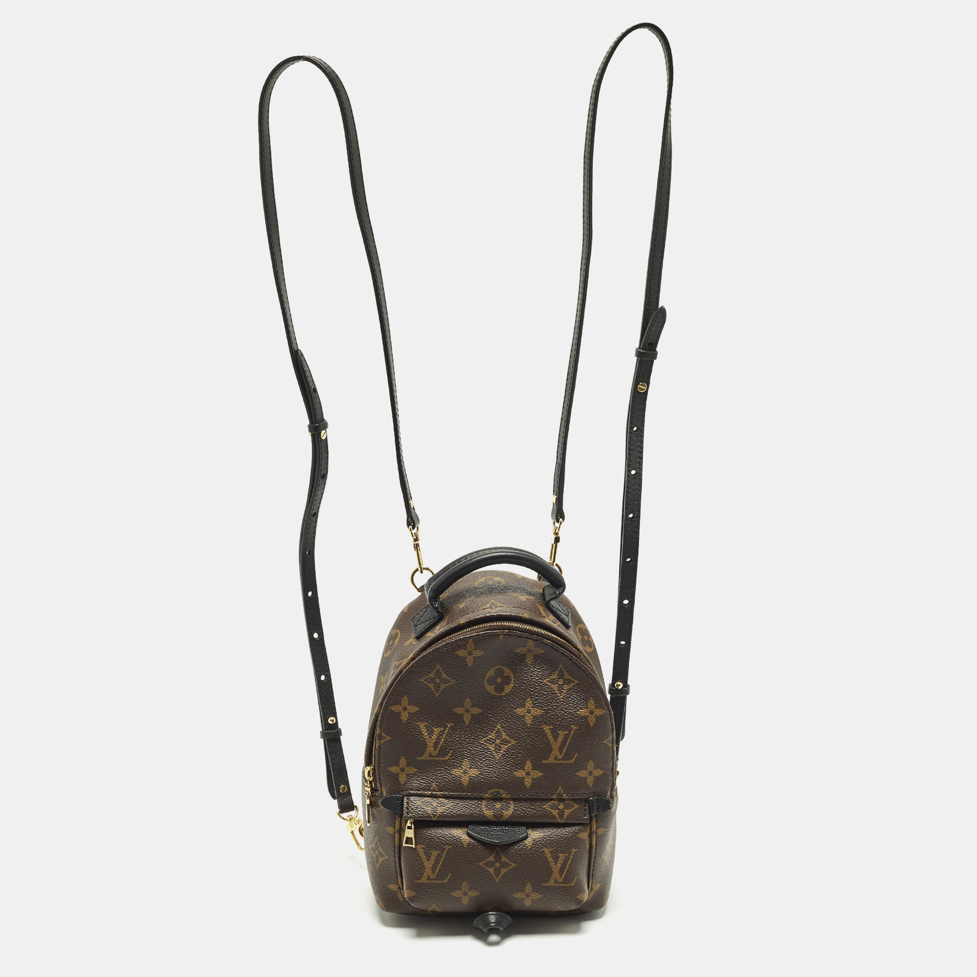 

Louis Vuitton Palm Springs Mini Monogram Canvas Backpack, Brown