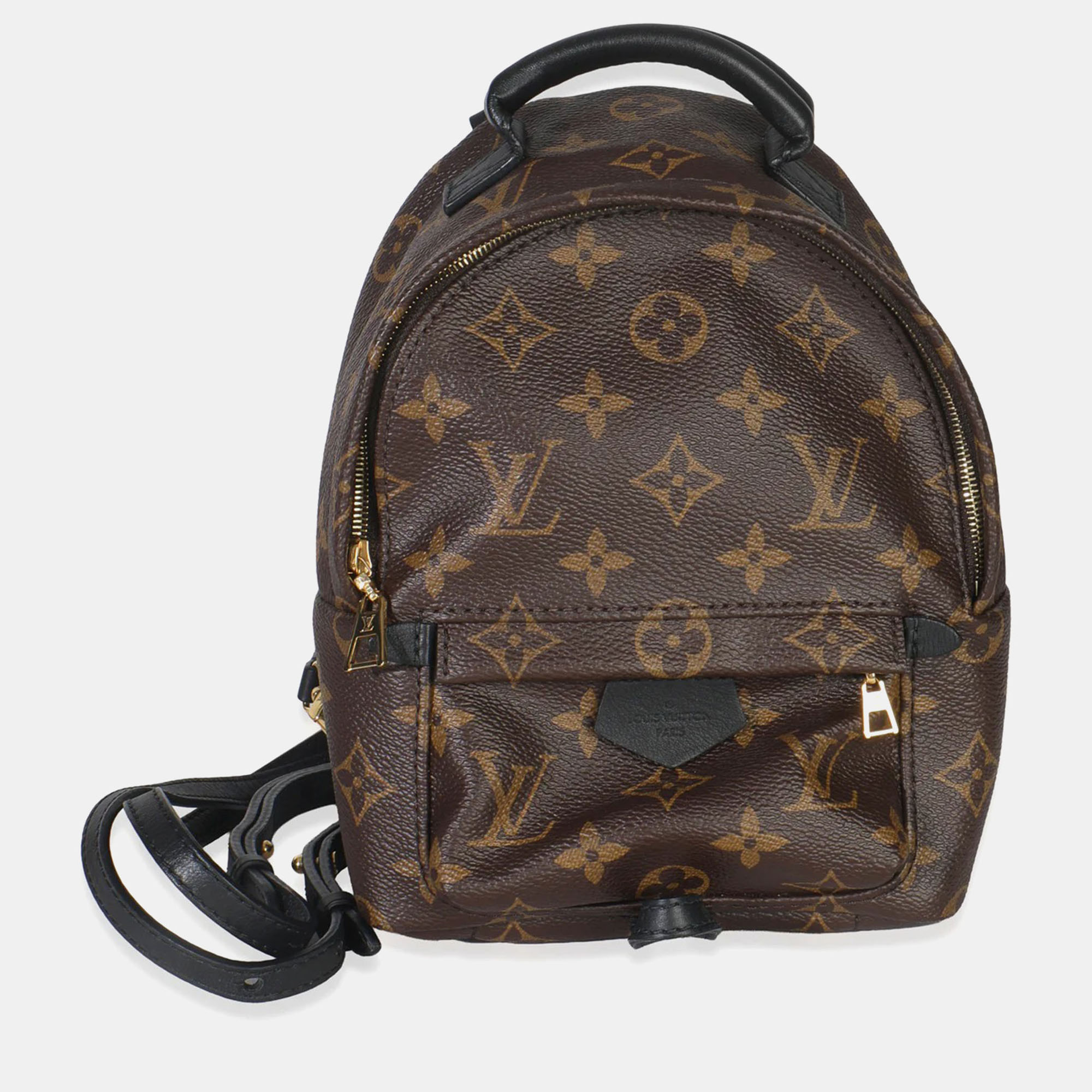 

Louis Vuitton Palm Springs Mini Brown Monogram Canvas Backpack