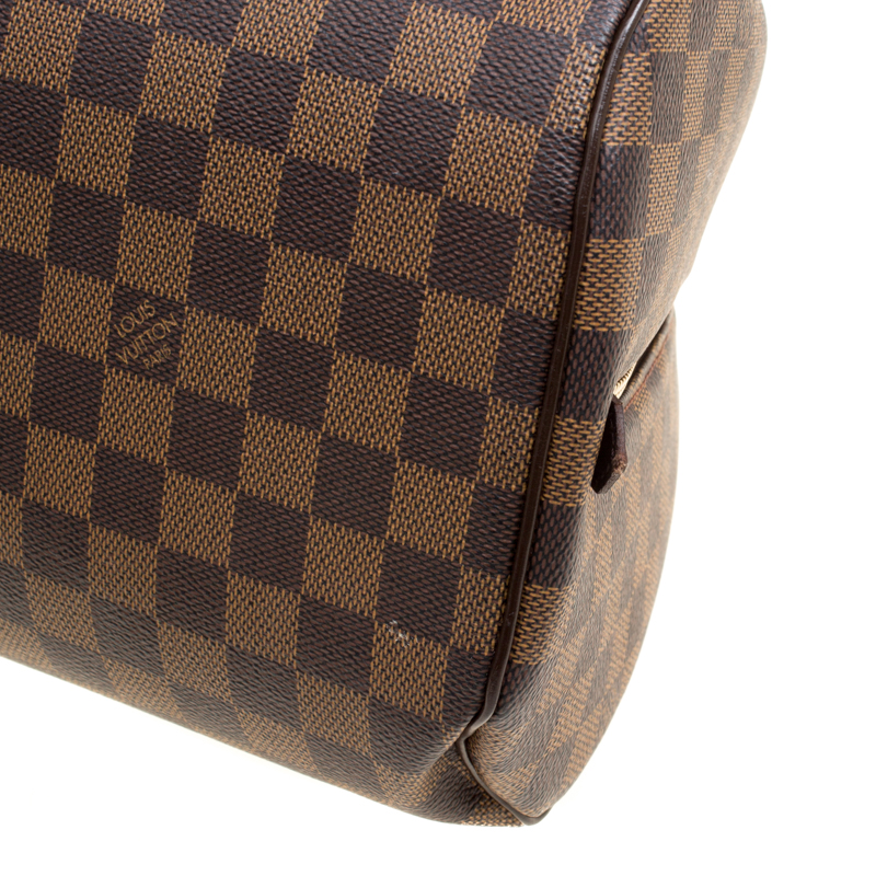 Louis Vuitton Damier Ebene Ribera MM Tote Bag Brown Leather ref.21610 -  Joli Closet