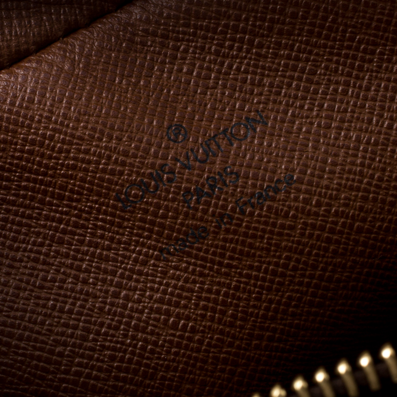 LOUIS VUITTON vintage Danube PM bag Brown Leather Cloth ref.162659 - Joli  Closet