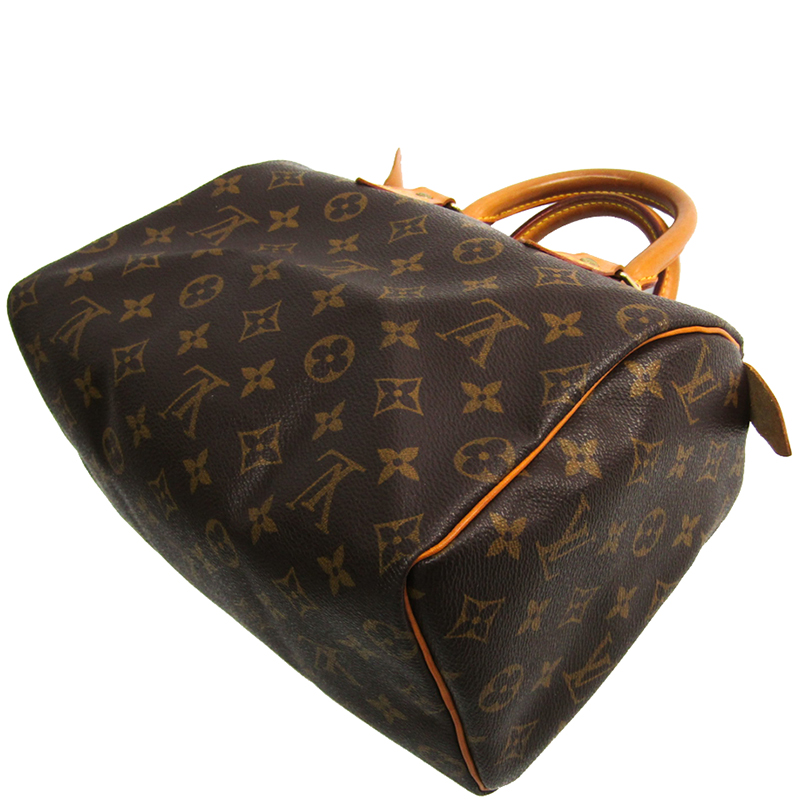 

Louis Vuitton Monogram Canvas Speedy 25 Bag, Brown