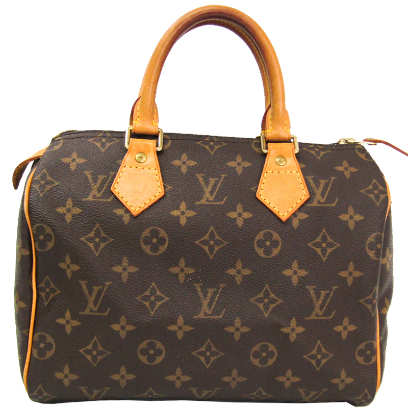 Pre Owned Louis Vuitton Monogram Canvas Speedy 25 Bag