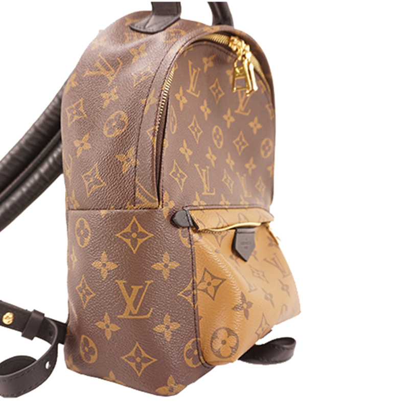 

Louis Vuitton Monogram Canvas Reverse Palm Springs Backpack, Brown