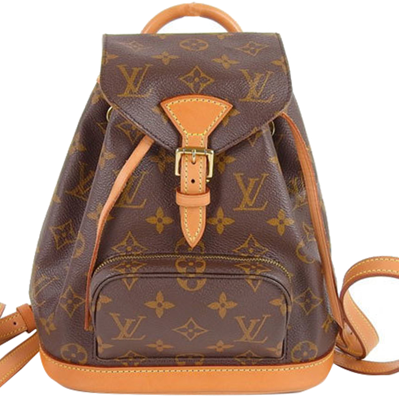 Louis Vuitton Monogram Canvas Mini 