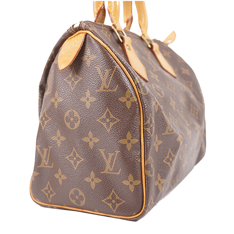

Louis Vuitton Monogram Canvas Babylone Bag, Brown
