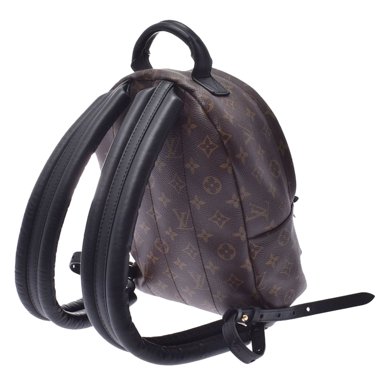 

Louis Vuitton Monogram Reverse Palm Springs Backpack PM, Brown