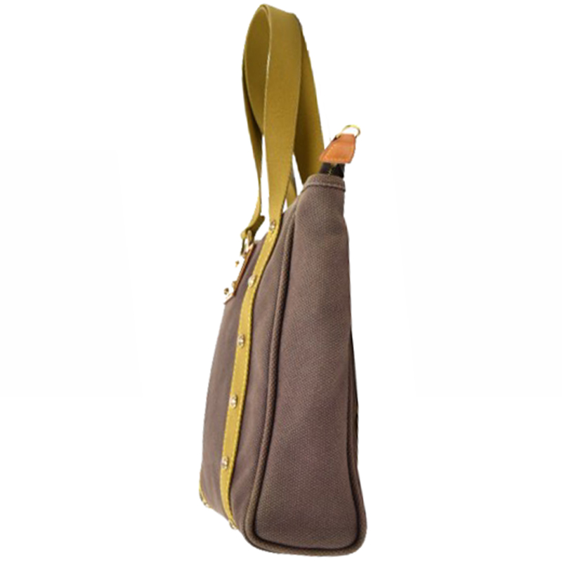 

Louis Vuitton Brown Canvas Antigua Cabas MM Bag