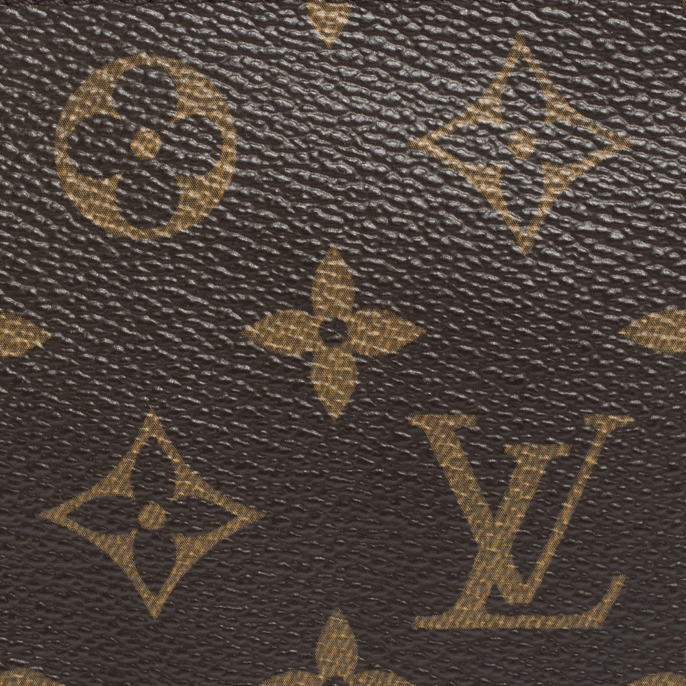 Louis Vuitton Pochette Accessoires Limited Edition Monogram Canvas Mini  Brown 2028931