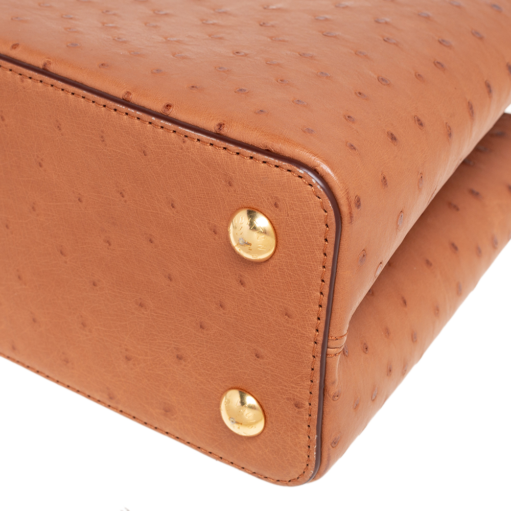 Capucines ostrich handbag Louis Vuitton Brown in Ostrich - 29818559