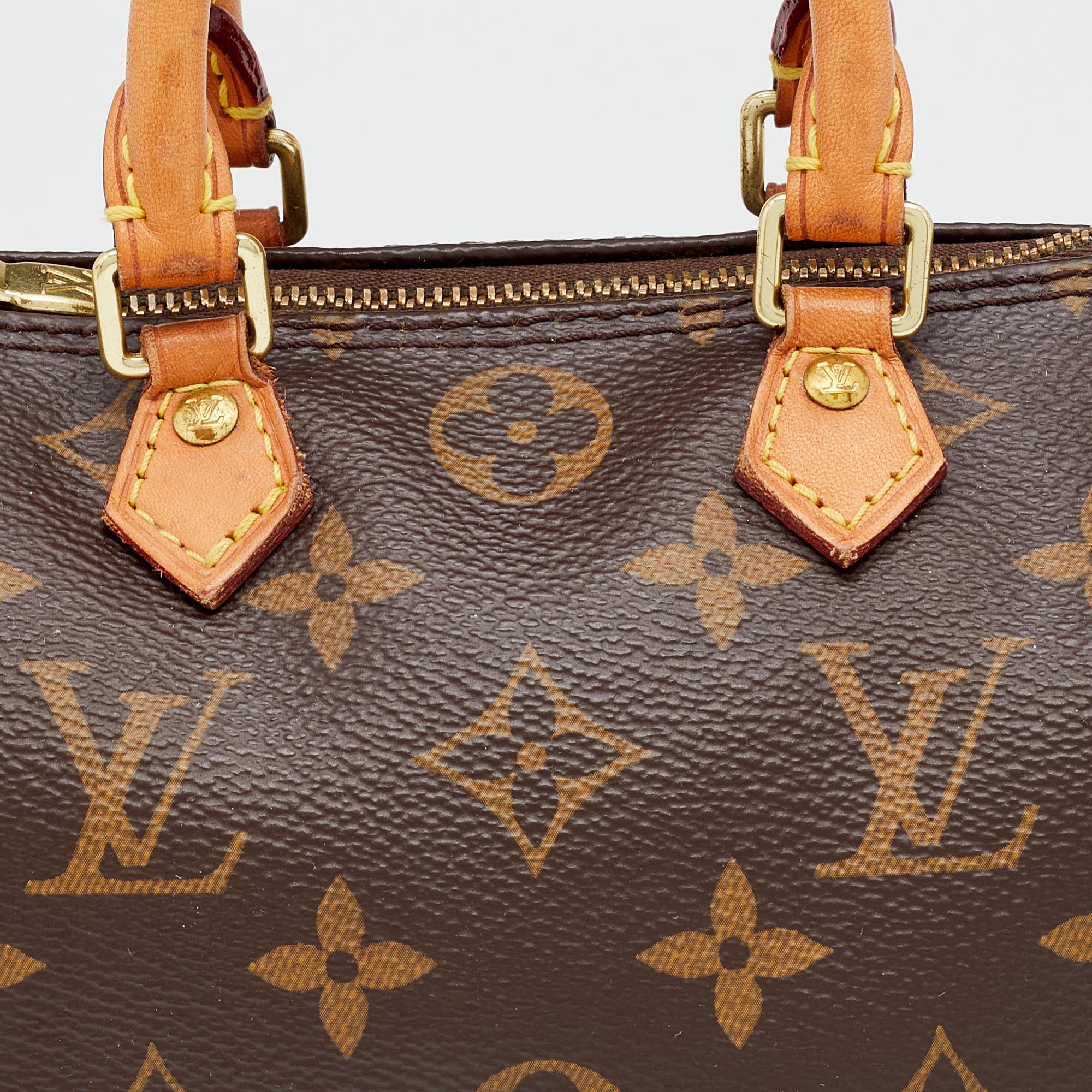 Louis VUITTON Speedy bag in Monogram canvas and natural…