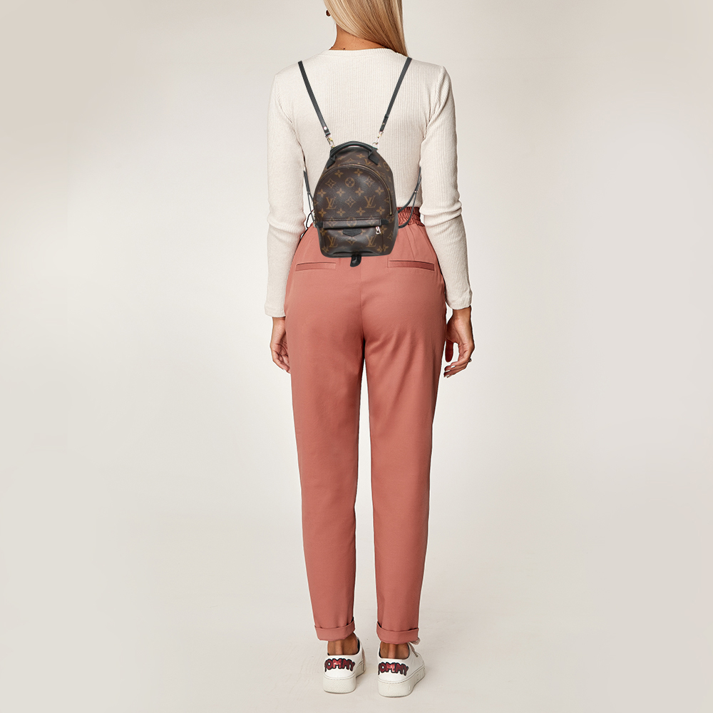 

Louis Vuitton Monogram Canvas Mini Palm Springs Backpack, Brown