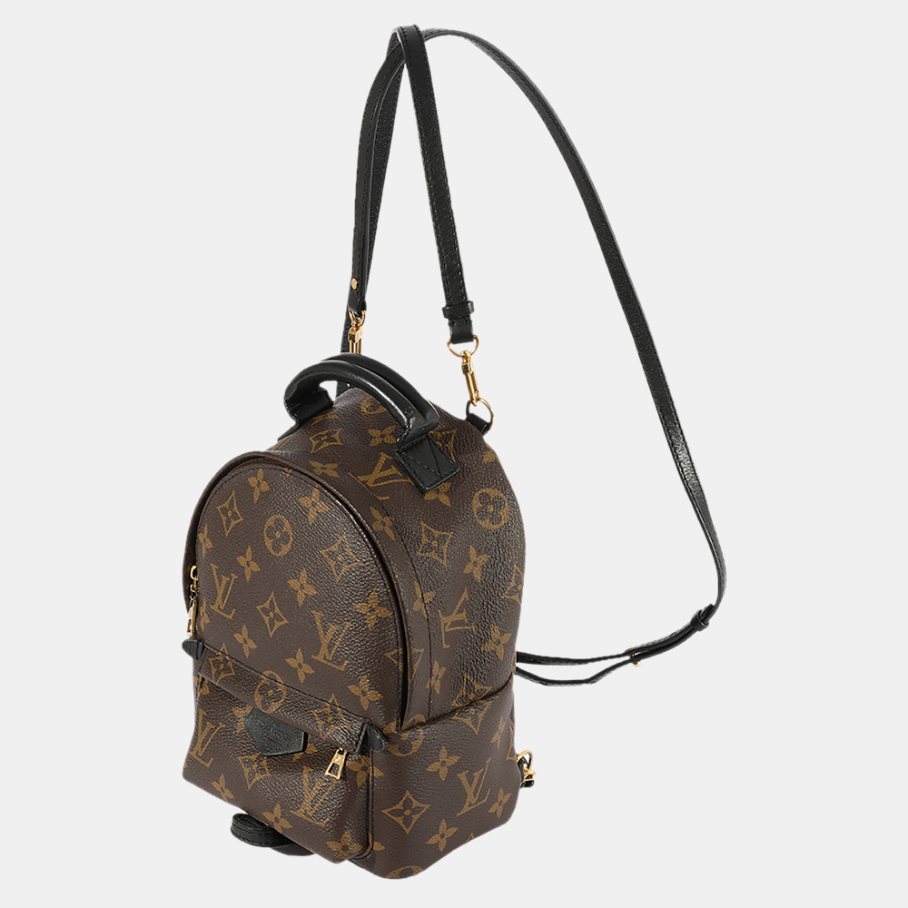 

Louis Vuitton Monogram Canvas Palm Springs Mini Backpack, Brown