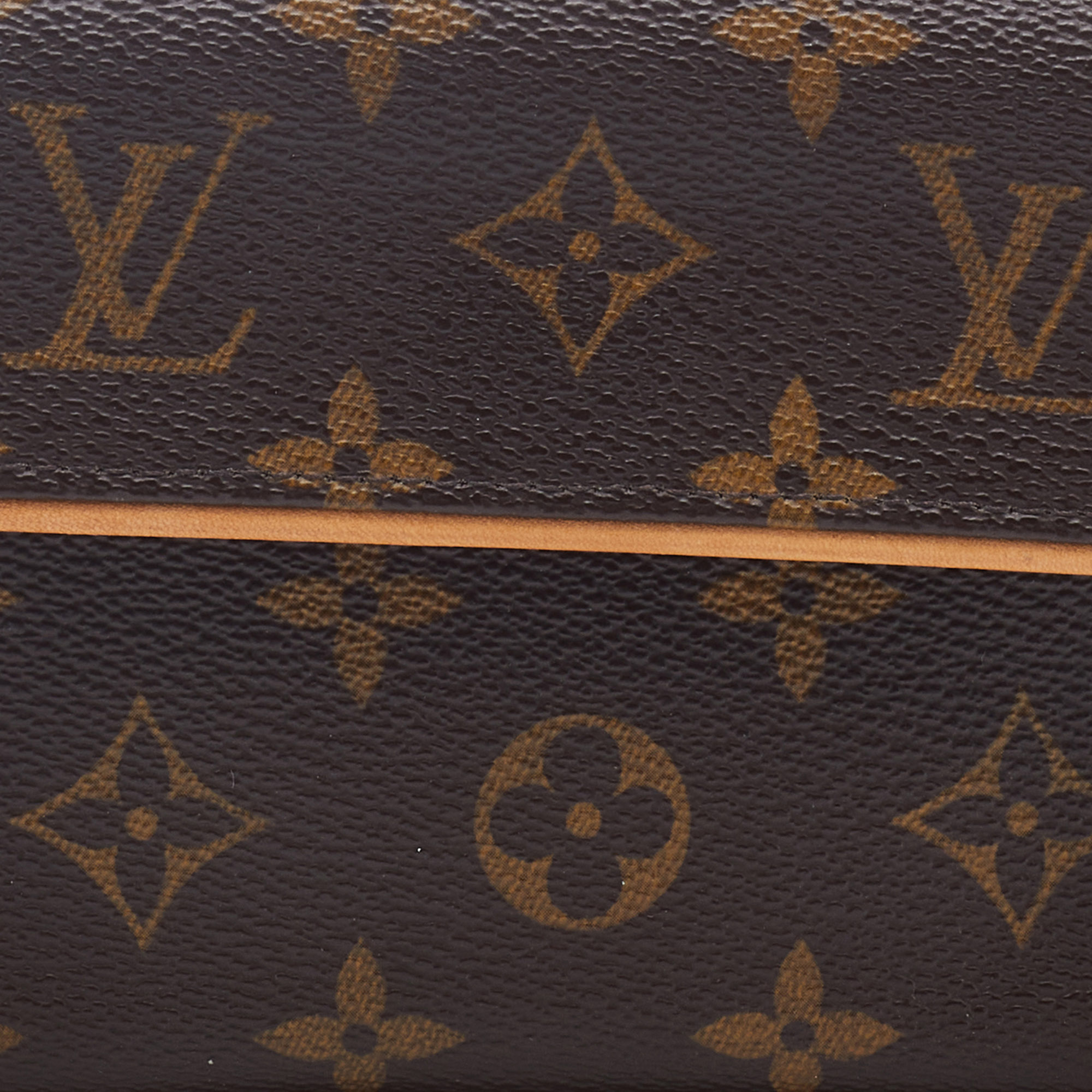 Louis Vuitton Brown Monogram Pochette Florentine Cloth ref.994088