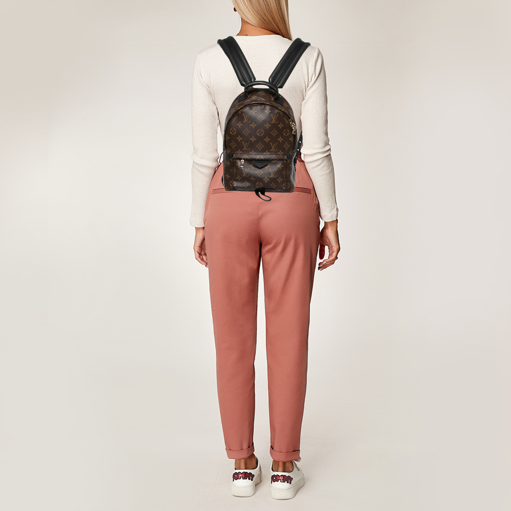 

Louis Vuitton Monogram Canvas and Leather Palm Springs PM Backpack, Brown