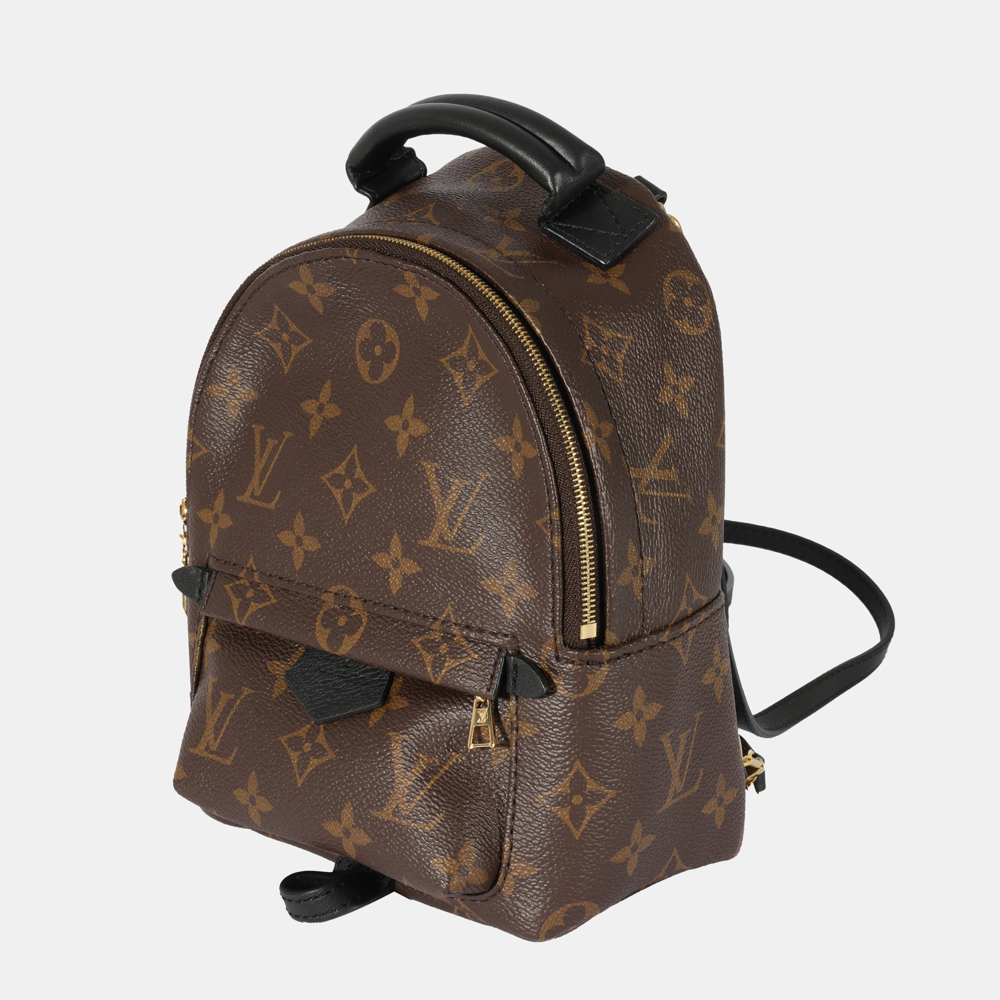 

Louis Vuitton Monogram Canvas Palm Springs Mini Backpack, Brown