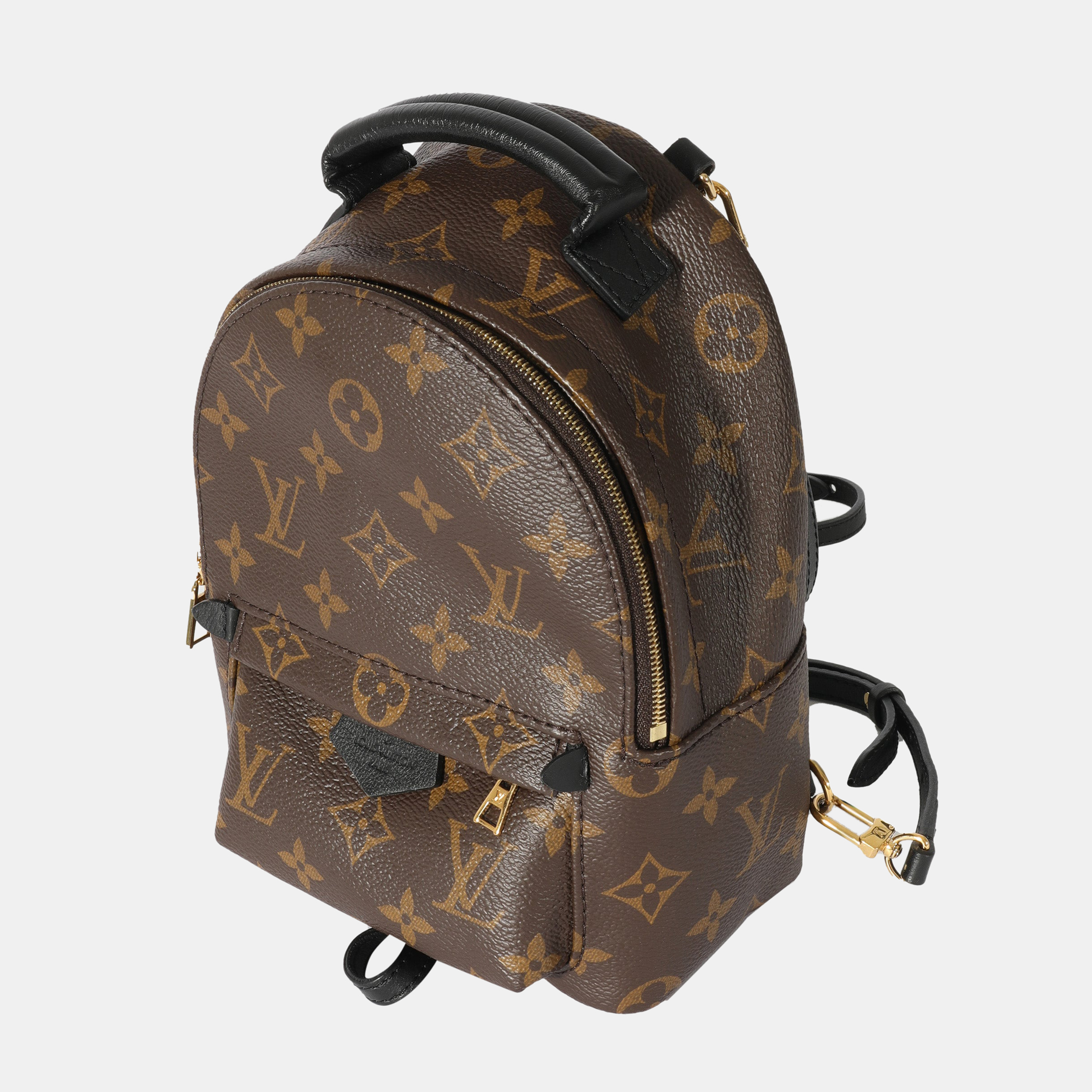 

Louis Vuitton Monogram Mini Palm Spring Backpack, Brown