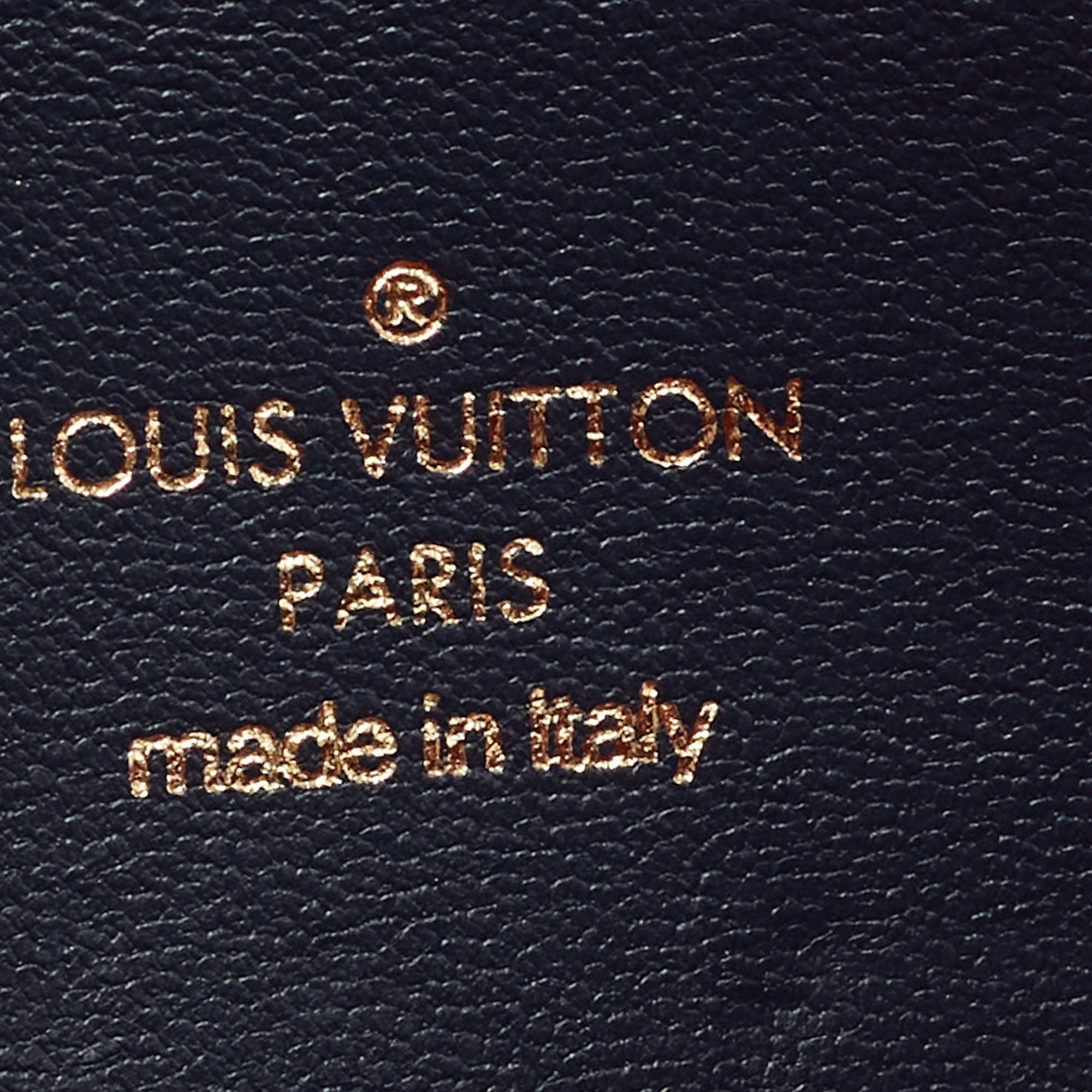 Louis Vuitton Navy Blue Garden Monogram Embossed Leather Coussin