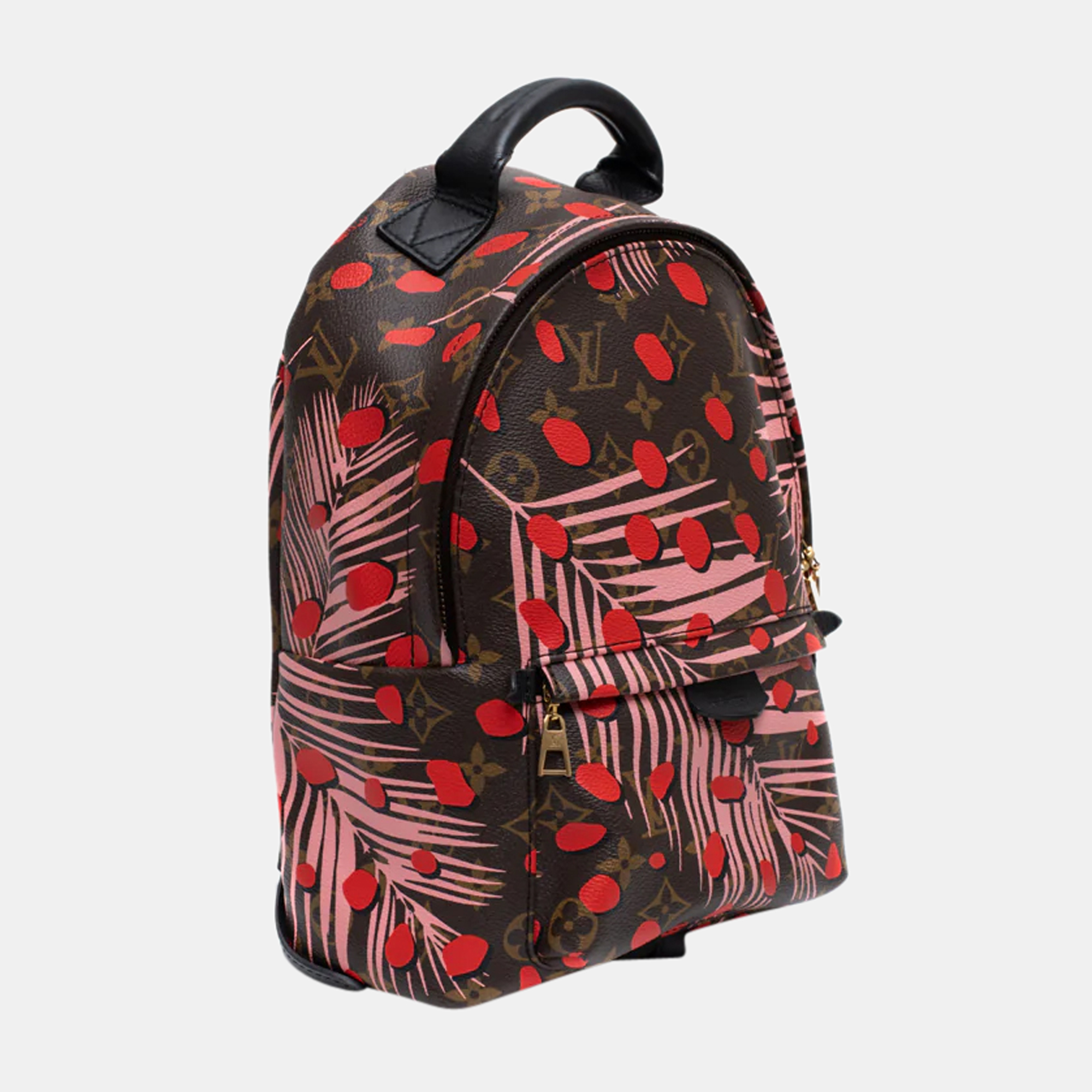 

Louis Vuitton Palm spring Backpack in Brown Monogram Canvas