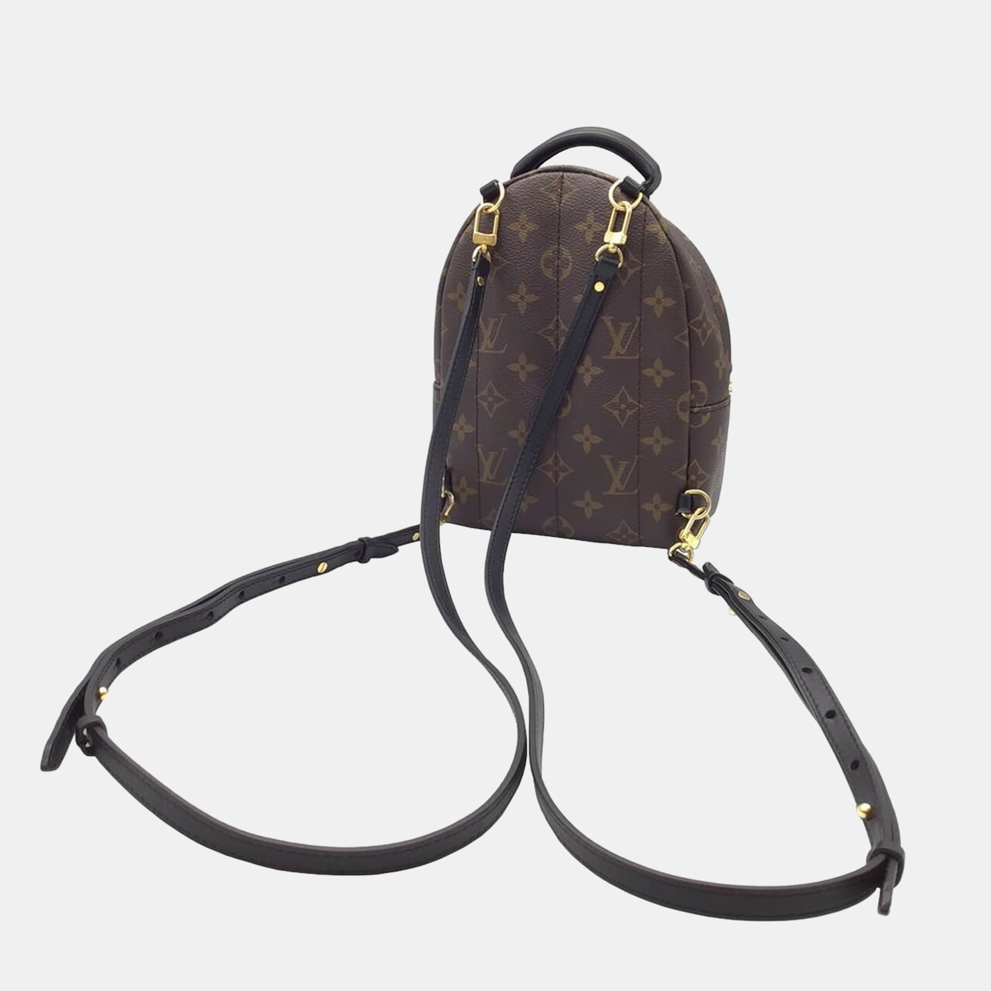 

Louis Vuitton Brown Monogram Canvas Mini Palm Springs Backpack