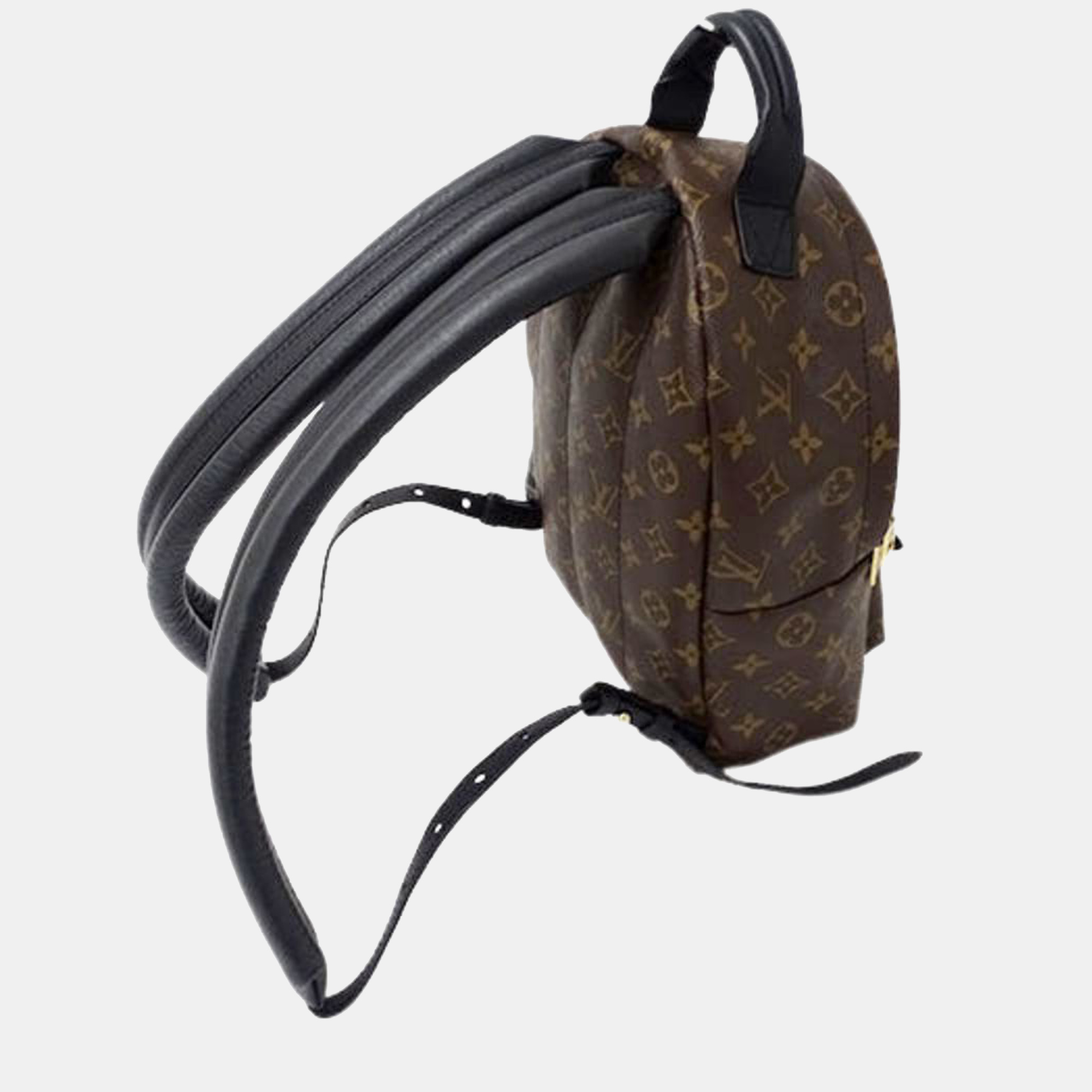 

Louis Vuitton Brown Monogram Canvas Mini Palm Springs Backpack