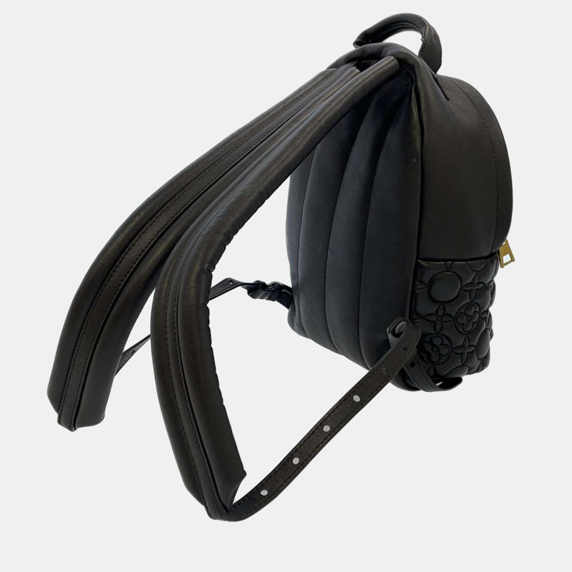 

Louis Vuitton Monogram Leather Flower Palm Springs Backpack PM Bag, Black