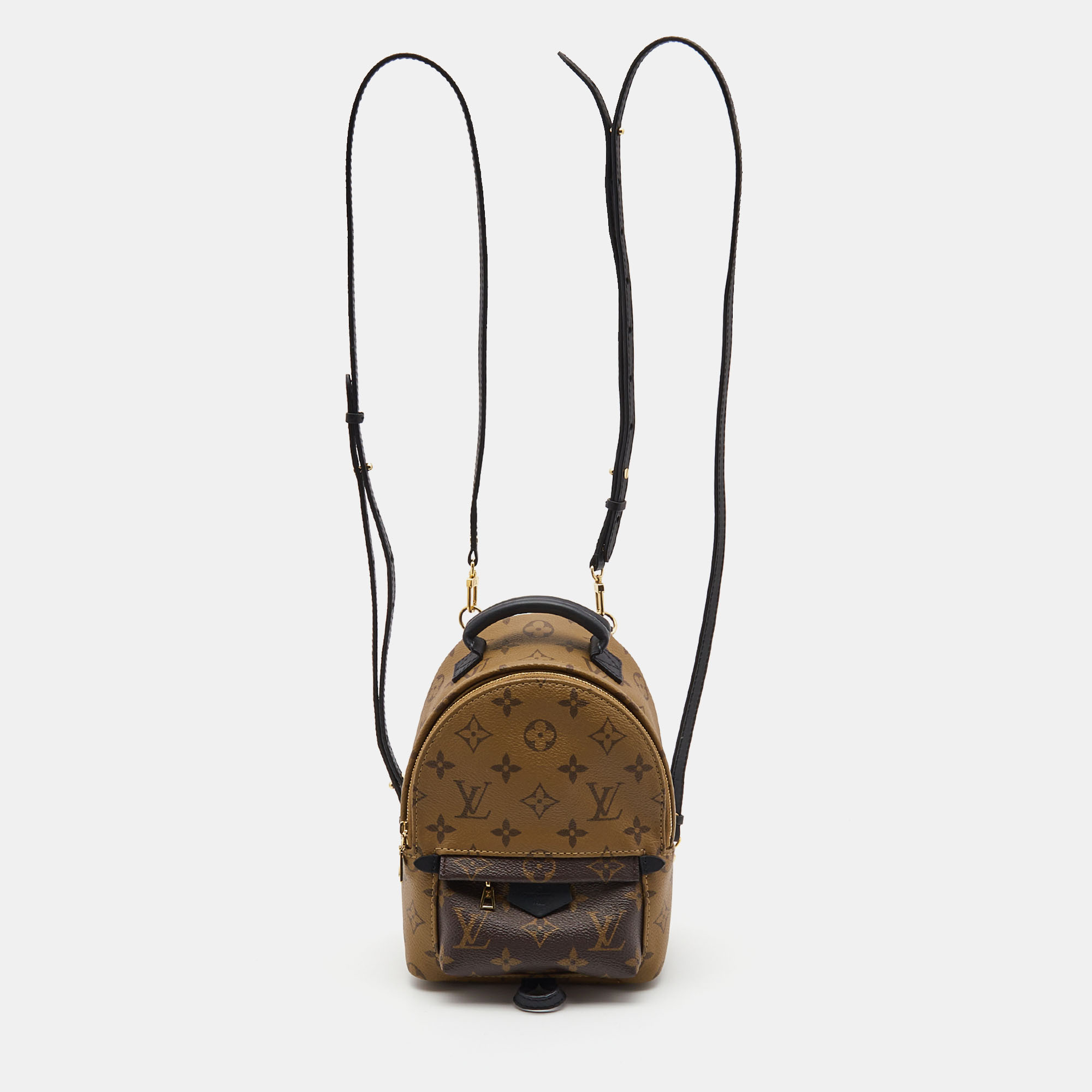 Louis Vuitton Palm spring Backpack in Brown Monogram Canvas Louis Vuitton |  The Luxury Closet