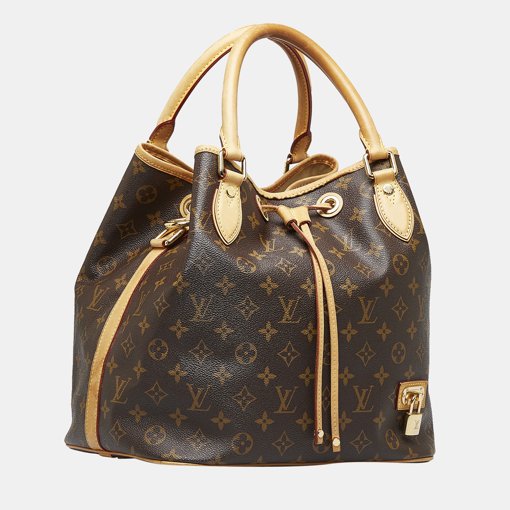 

Louis Vuitton Brown Monogram Neo Satchel