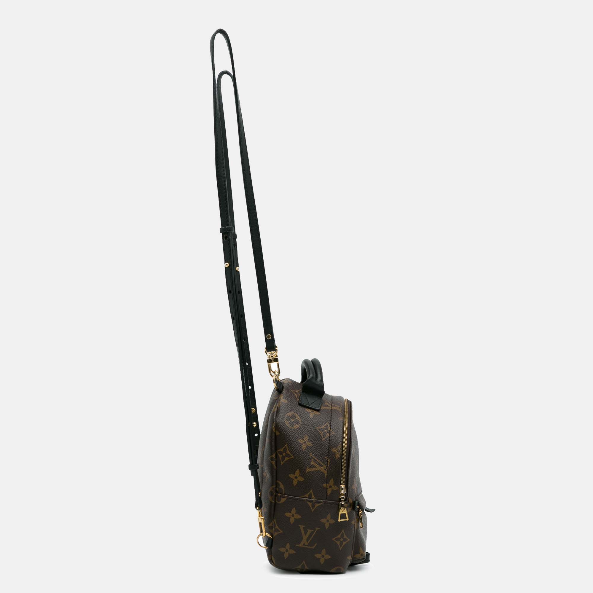 

Louis Vuitton Monogram Palm Springs Mini Backpack, Brown