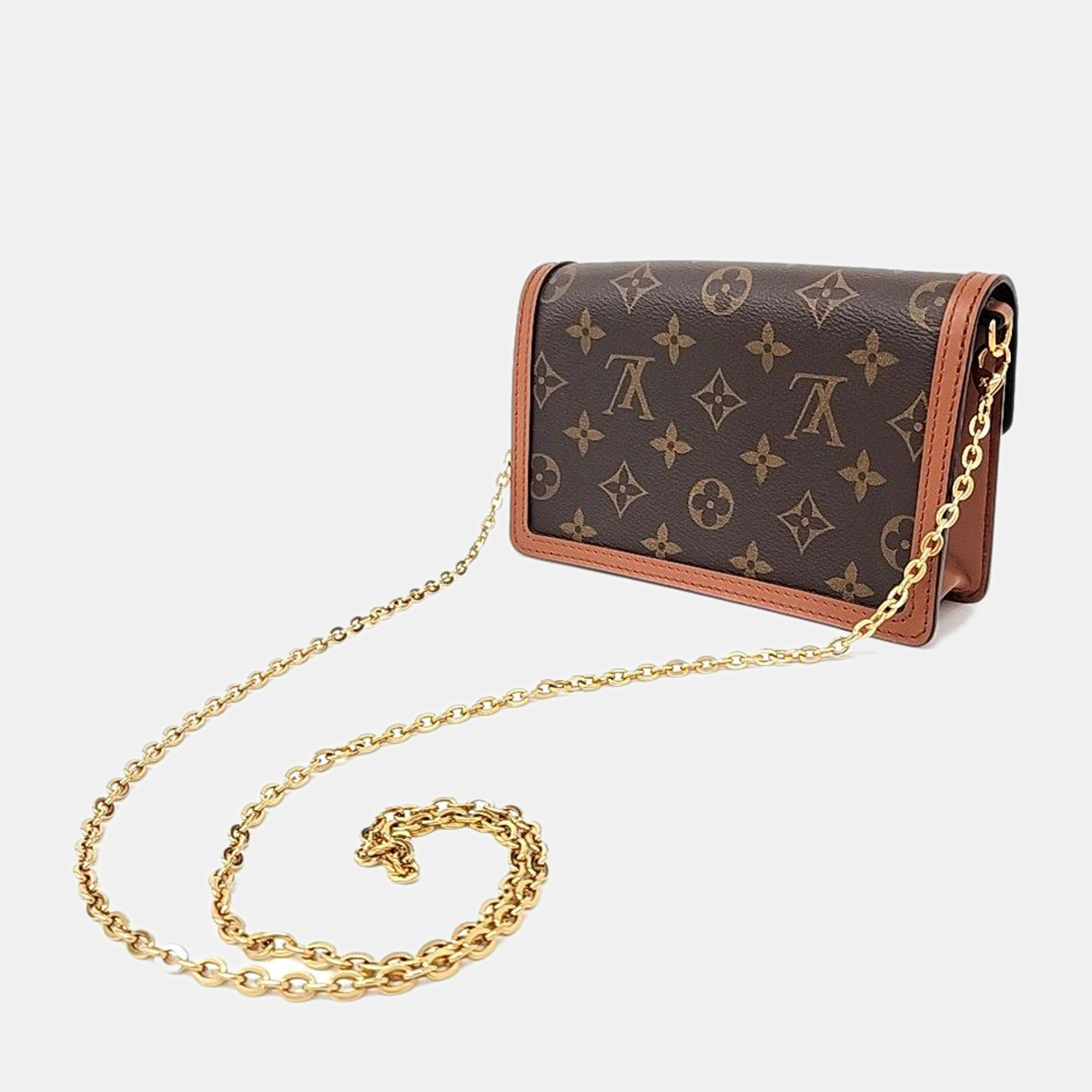 

Louis Vuitton Dolphin Chain Wallet bag, Brown