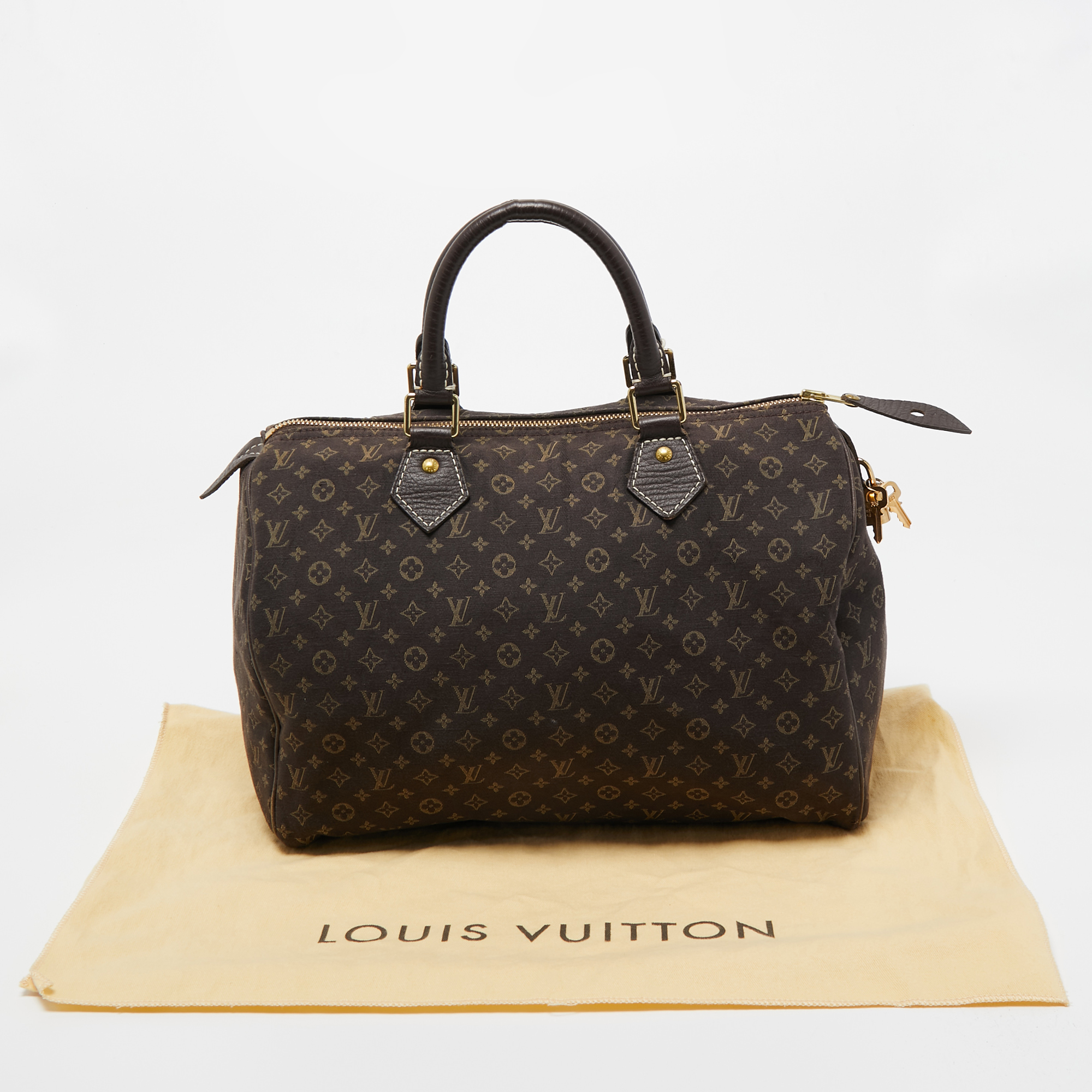 Speedy 30 Mini Lin, Louis Vuitton - Designer Exchange