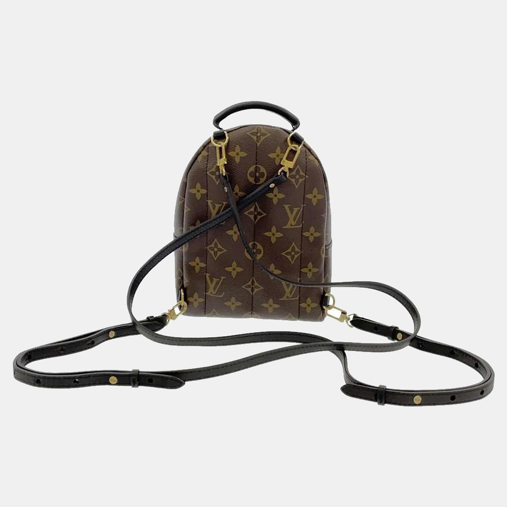 

Louis Vuitton Monogram Palm Springs Mini Backpack, Brown