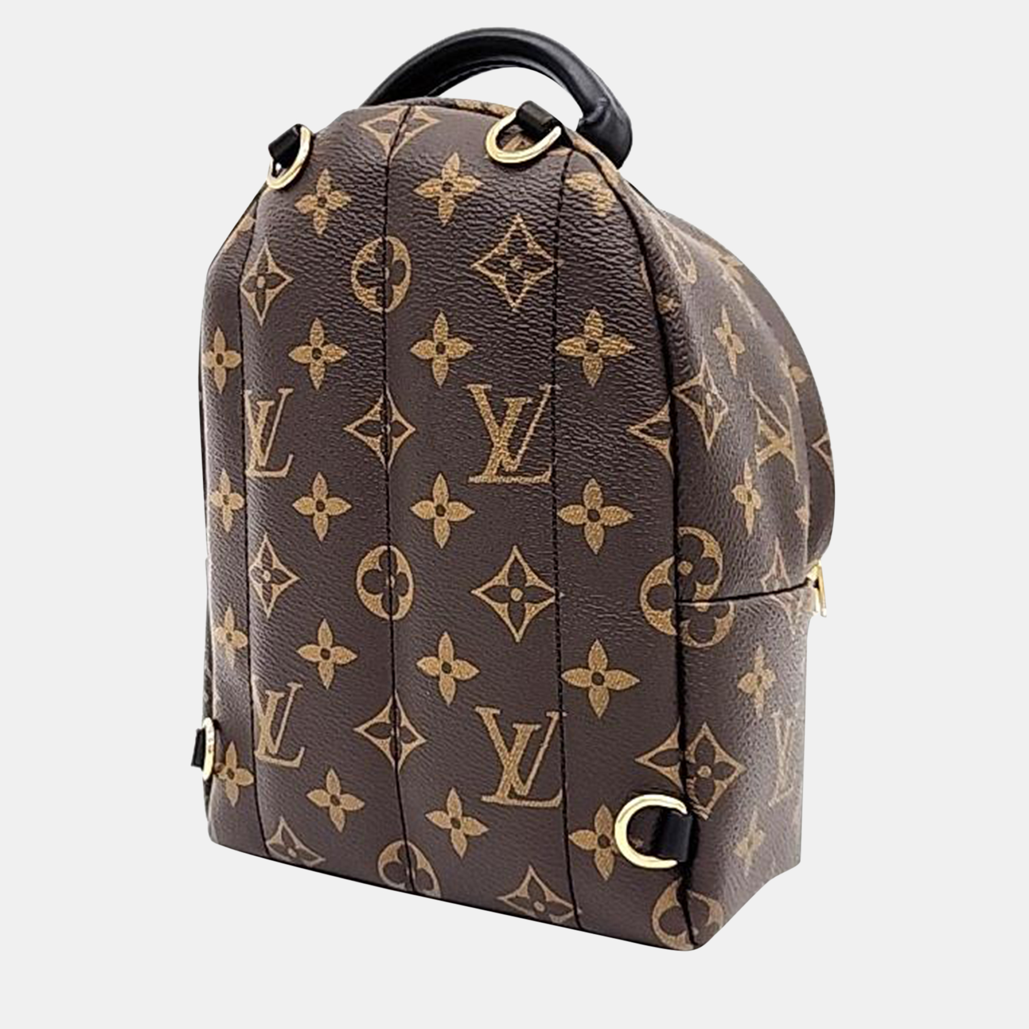 

Louis Vuitton Monogram Palm Springs Mini Backpack, Brown