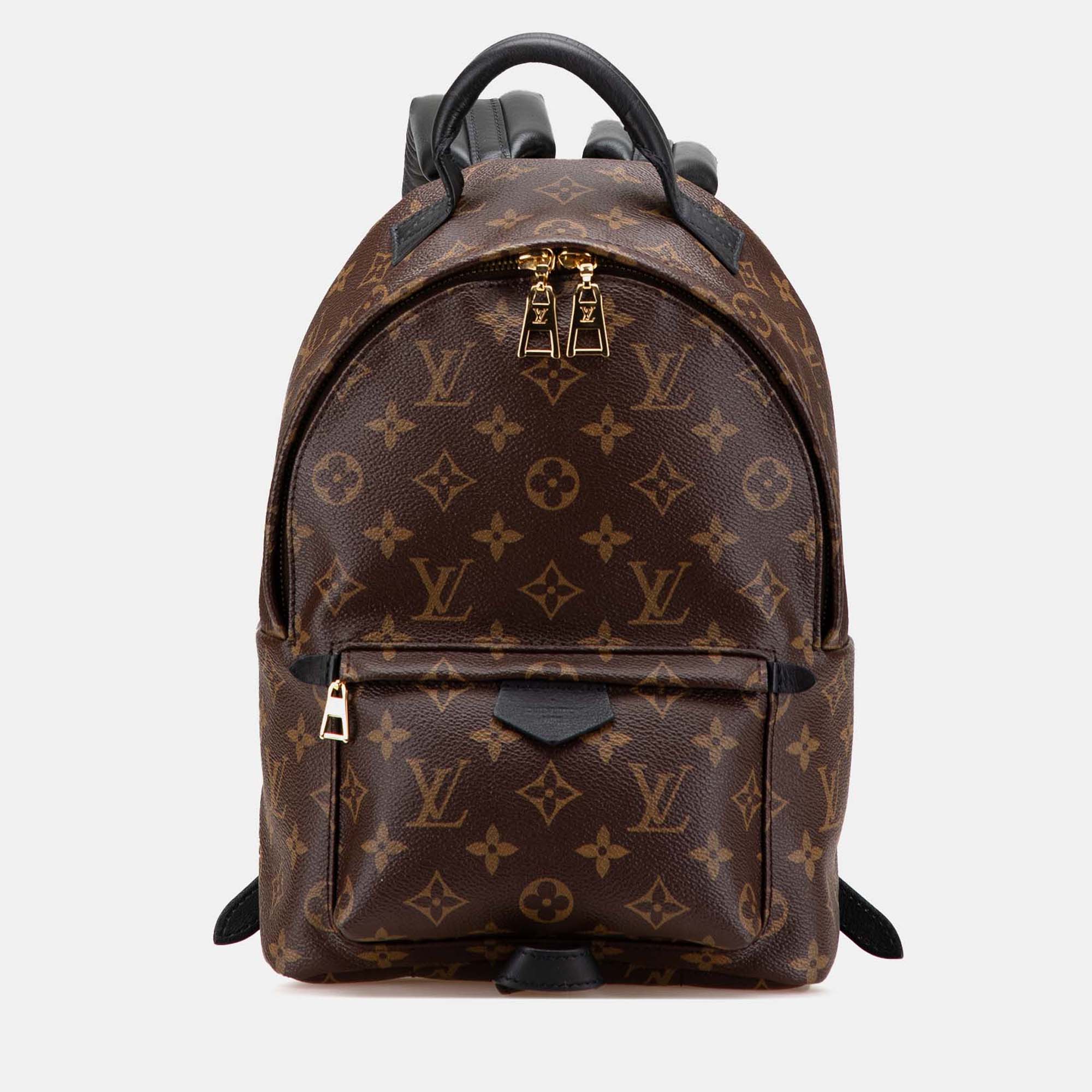 

Louis Vuitton Monogram Palm Springs PM, Brown