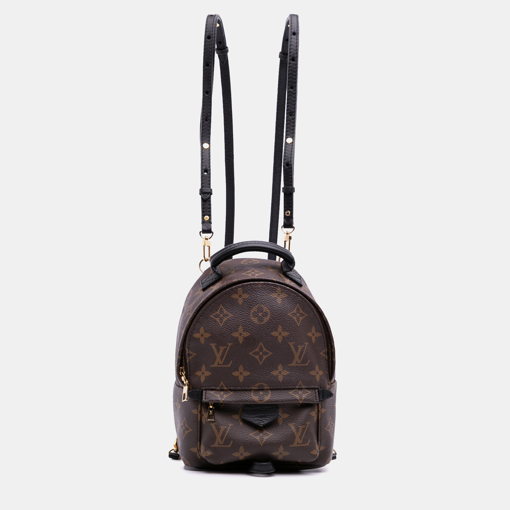 

Louis Vuitton Monogram Mini Palm Springs, Brown