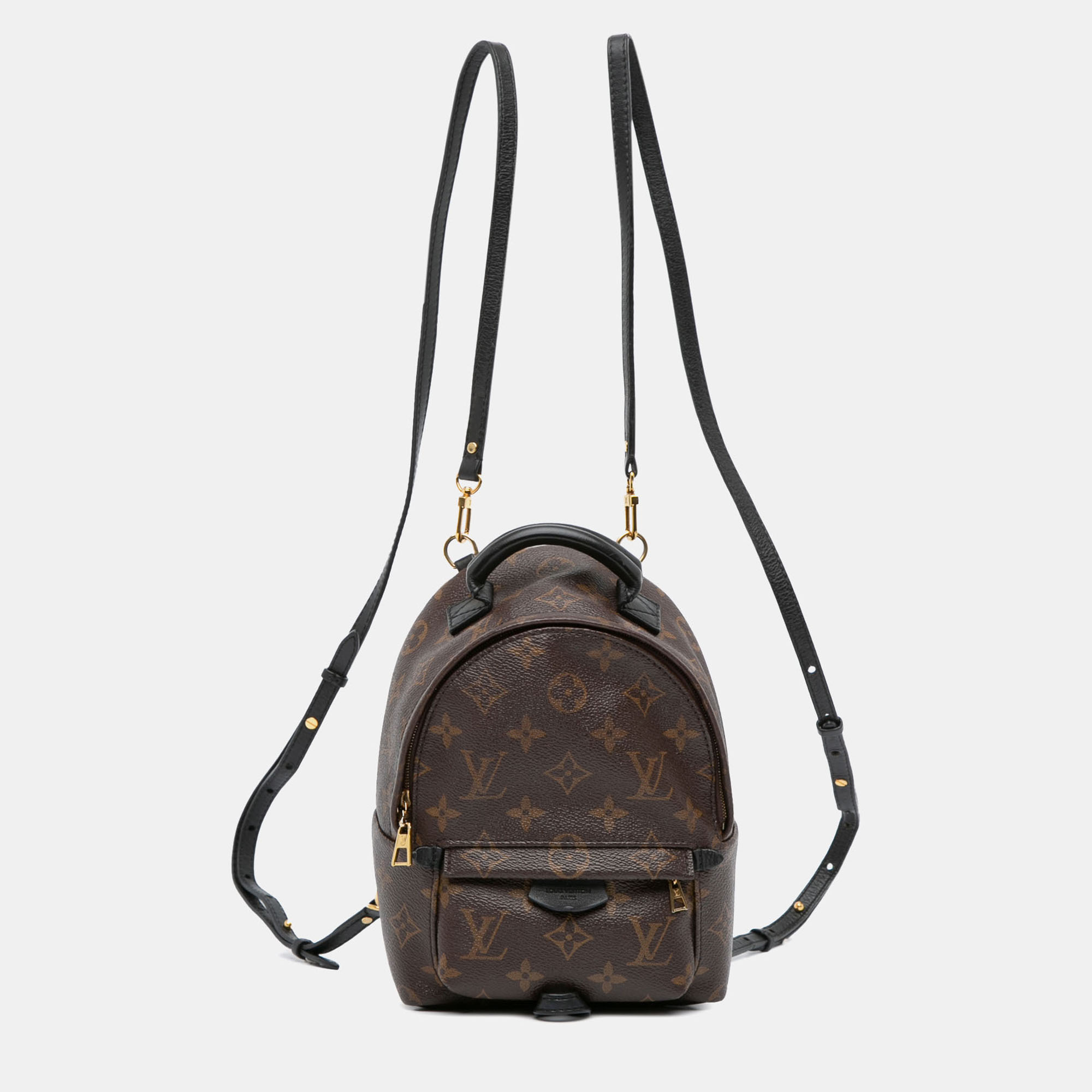 

Louis Vuitton Brown Monogram Mini Palm Springs