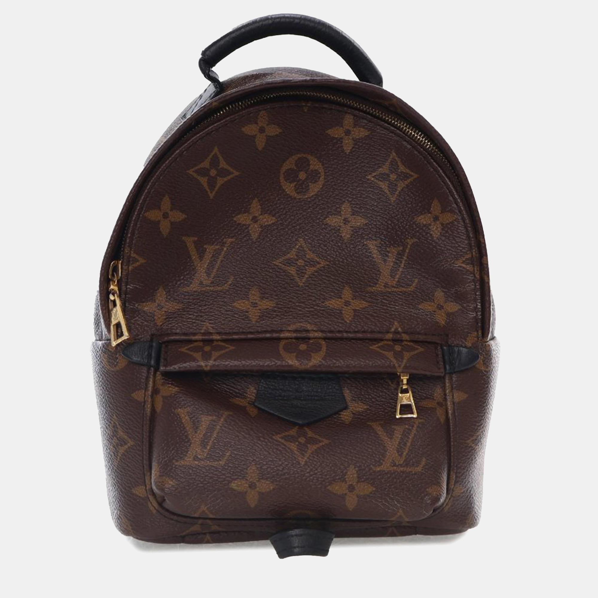 Pre-owned Louis Vuitton Brown Monogram Mini Palm Springs Backpack