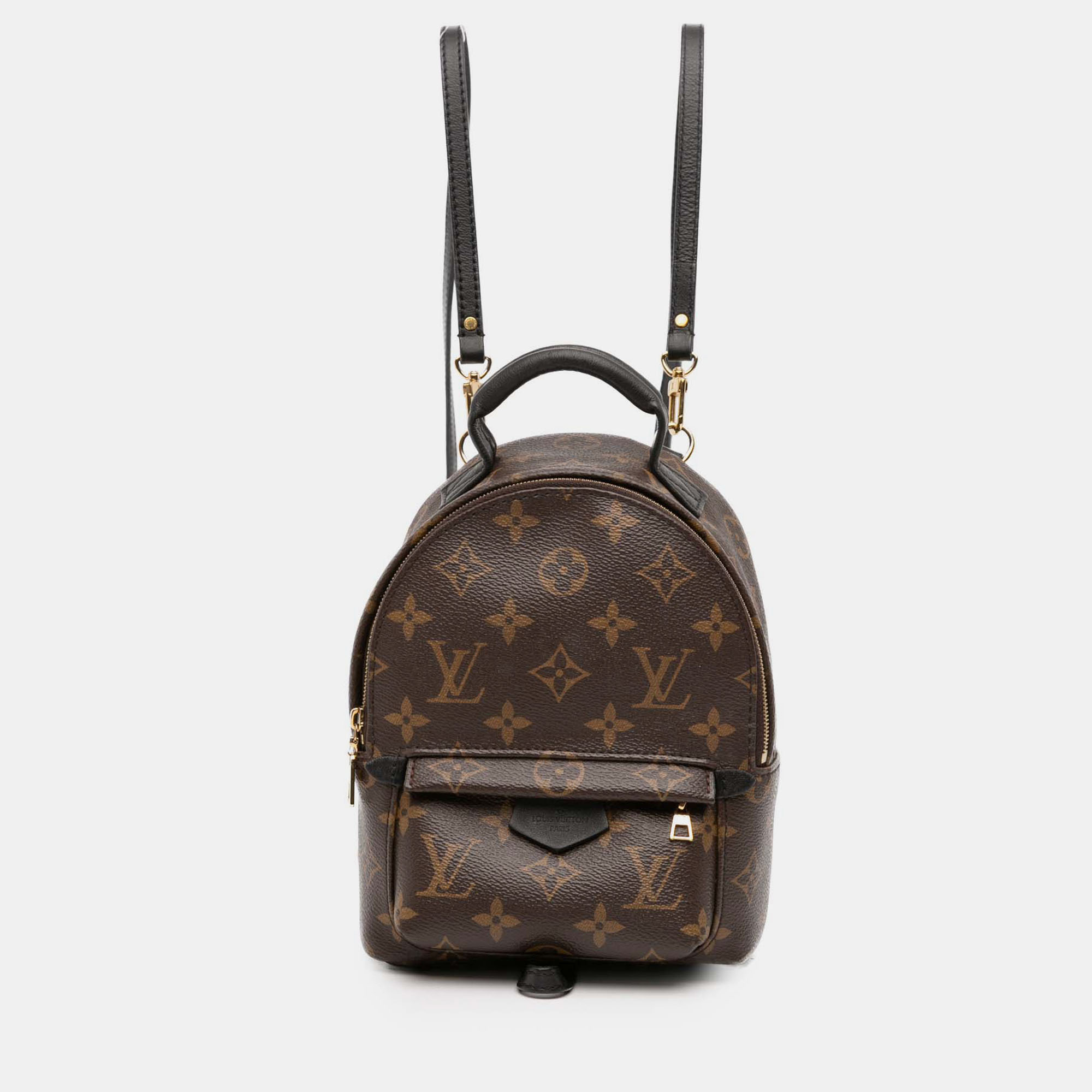 

Louis Vuitton Monogram Mini Palm Springs, Brown