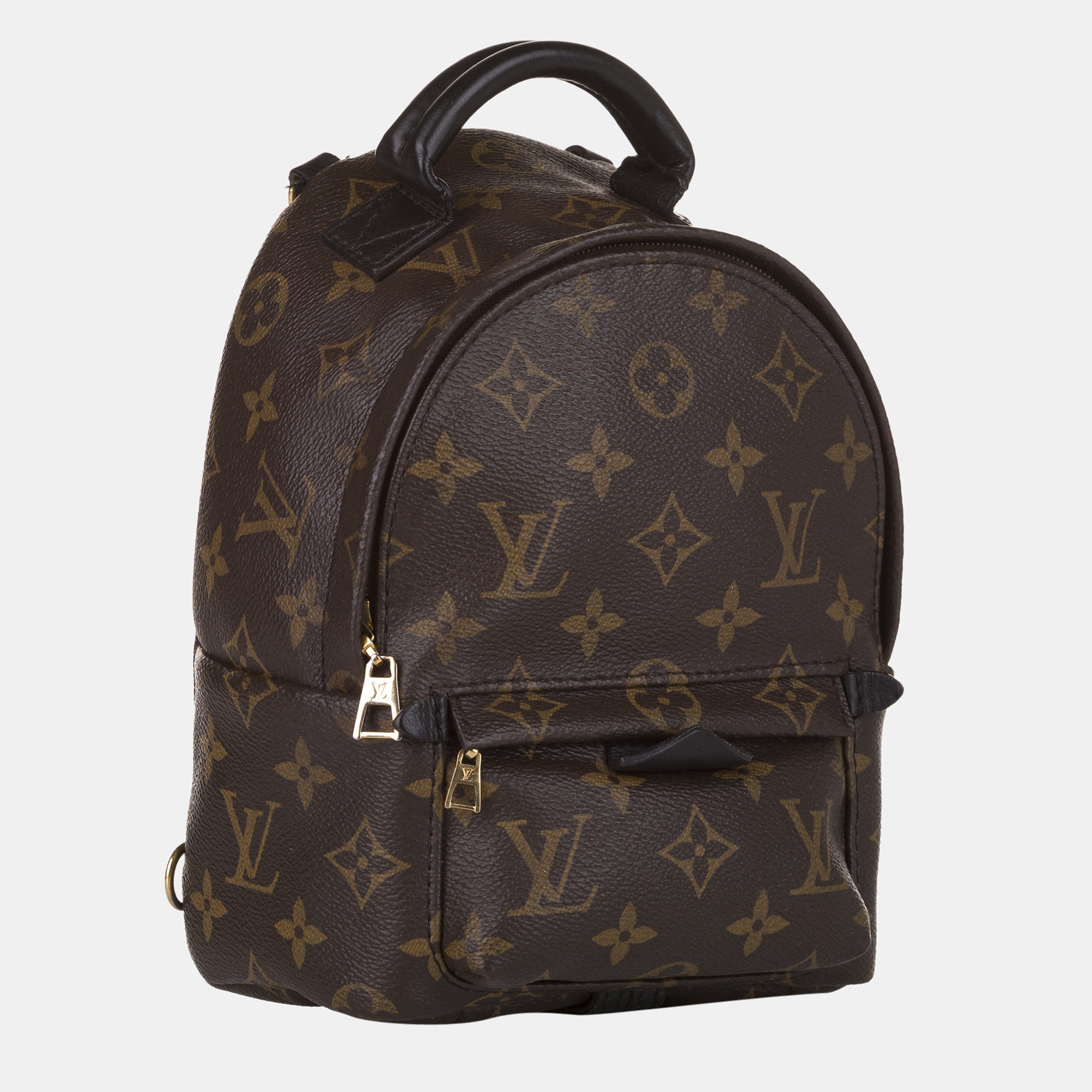 

Louis Vuitton Brown Monogram Palm Springs Mini