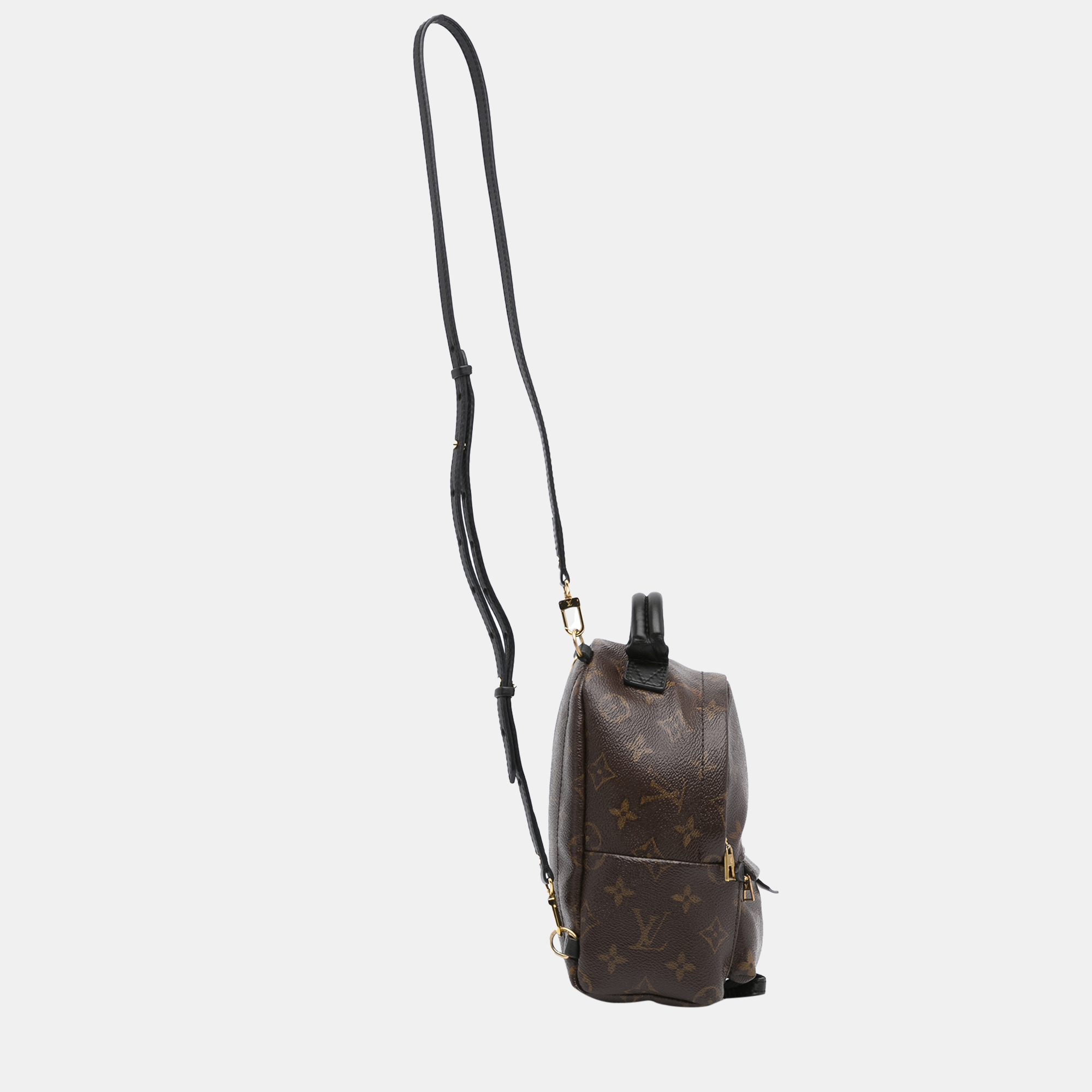 

Louis Vuitton Brown Monogram Palm Springs Mini