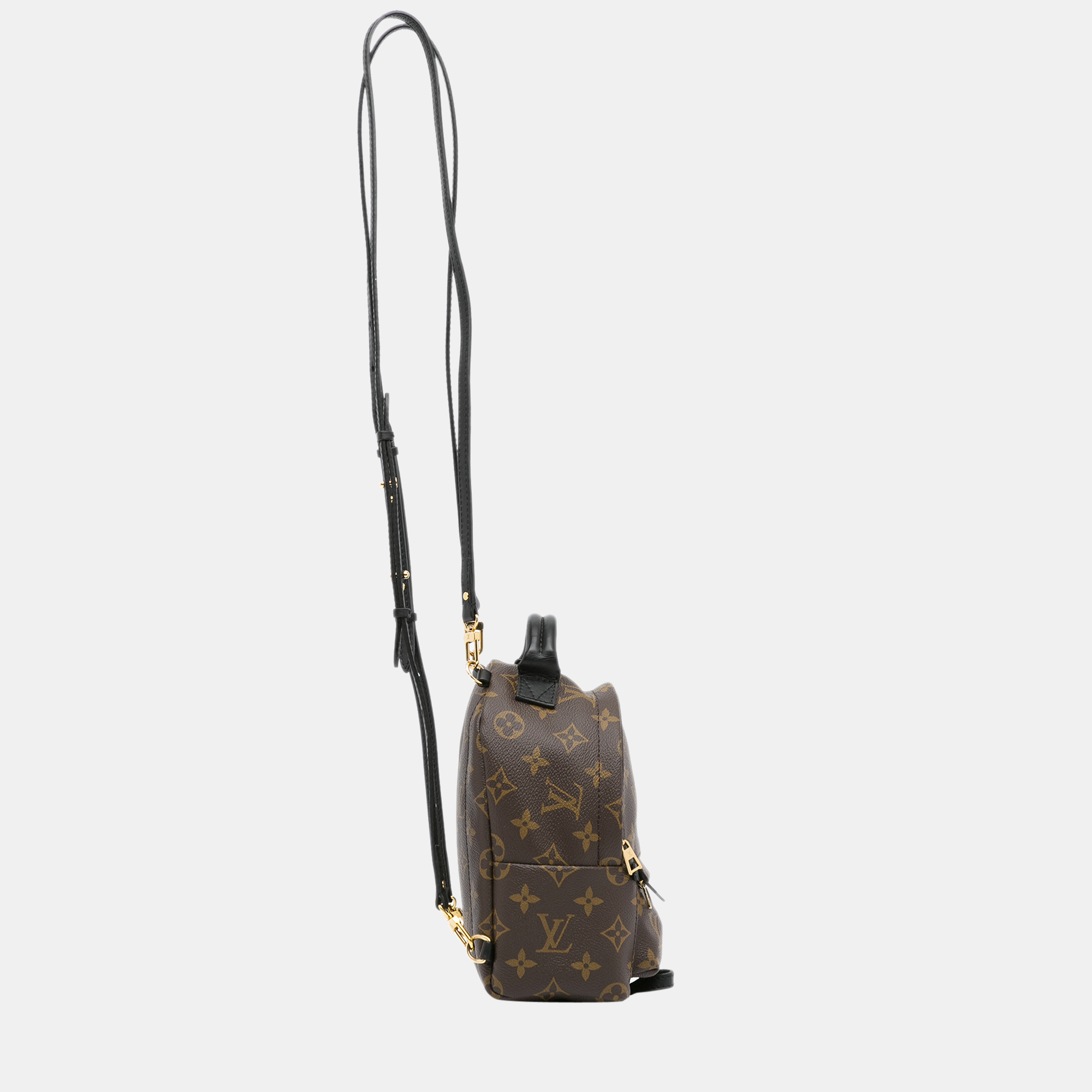 

Louis Vuitton Brown Monogram Mini Palm Springs