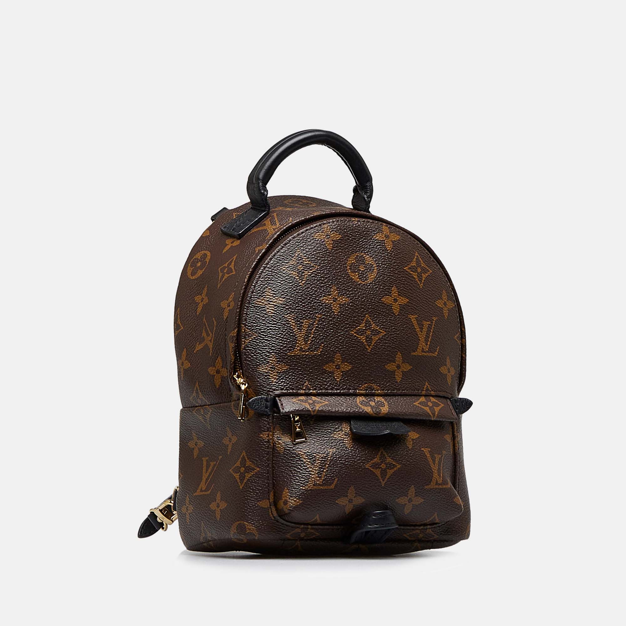 

Louis Vuitton Monogram Palm Springs Mini Backpack, Brown